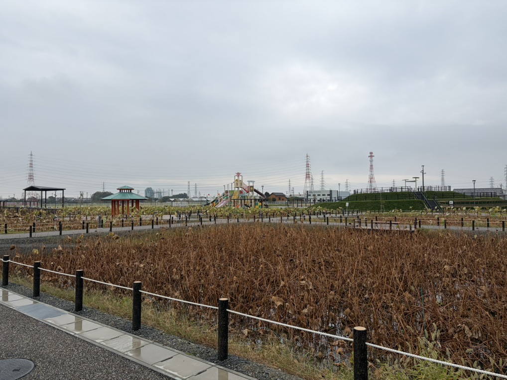 道の駅 ふれあいの里HASUパークの写真