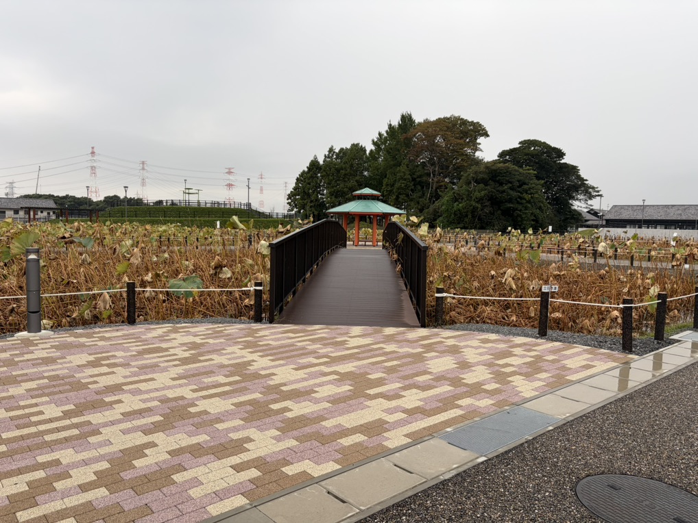 道の駅 ふれあいの里HASUパークの写真