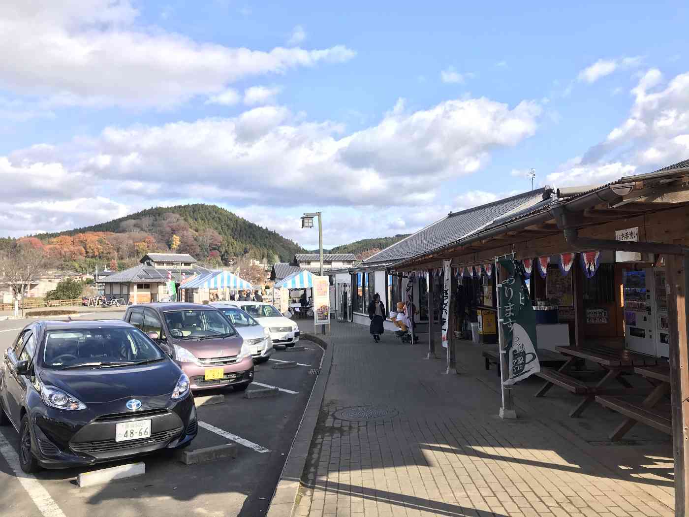 東山道伊王野