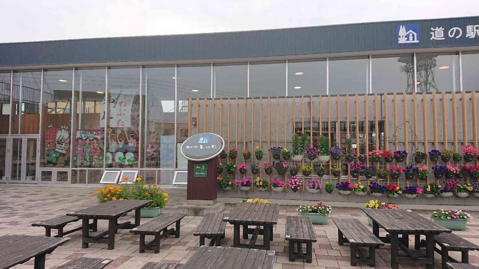 投稿された画像