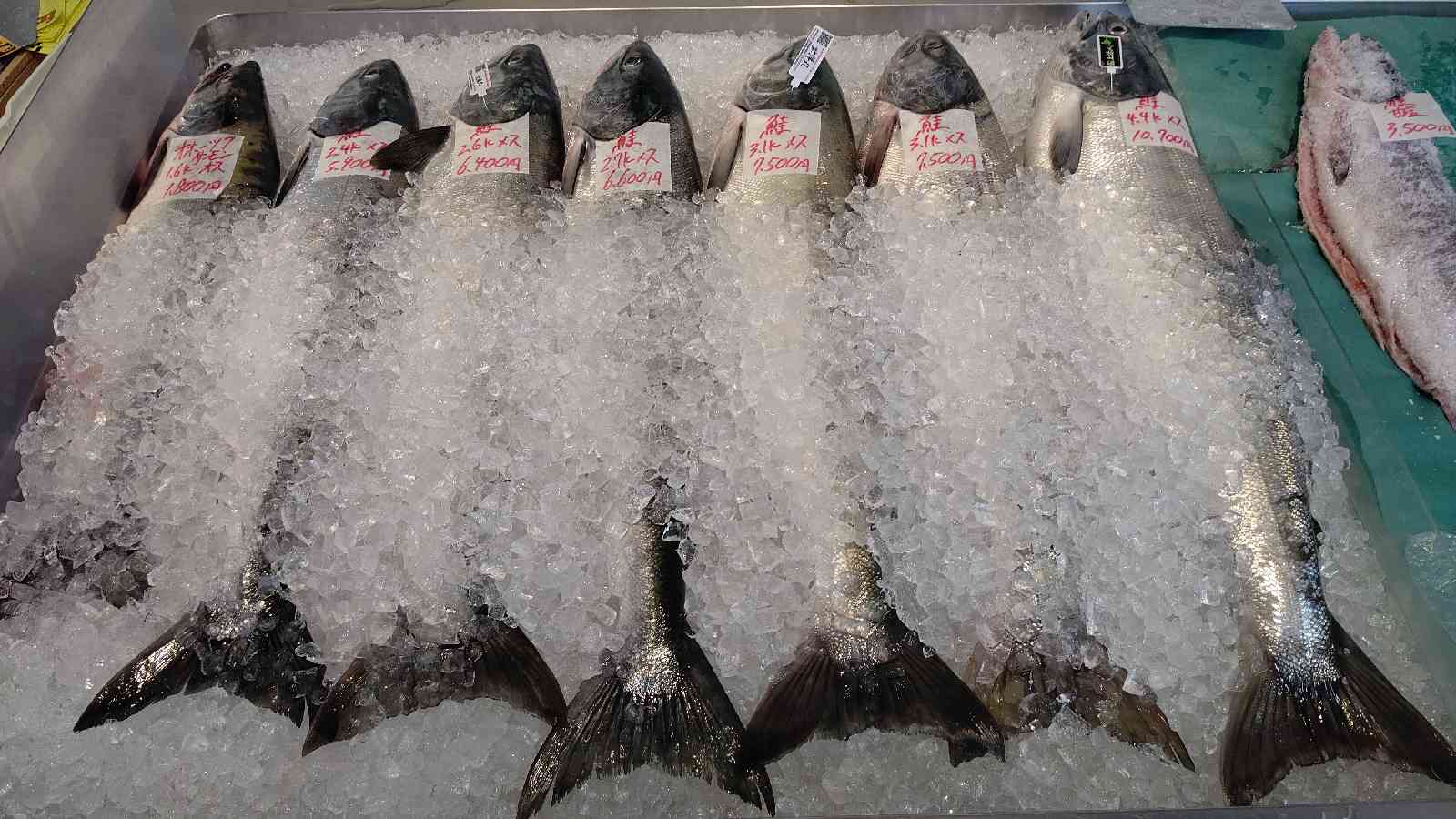 投稿された画像