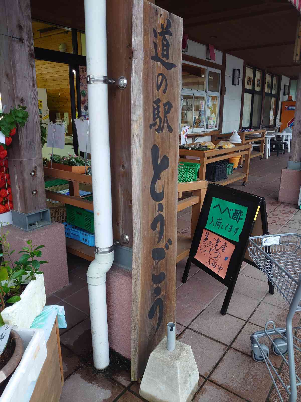 投稿された画像