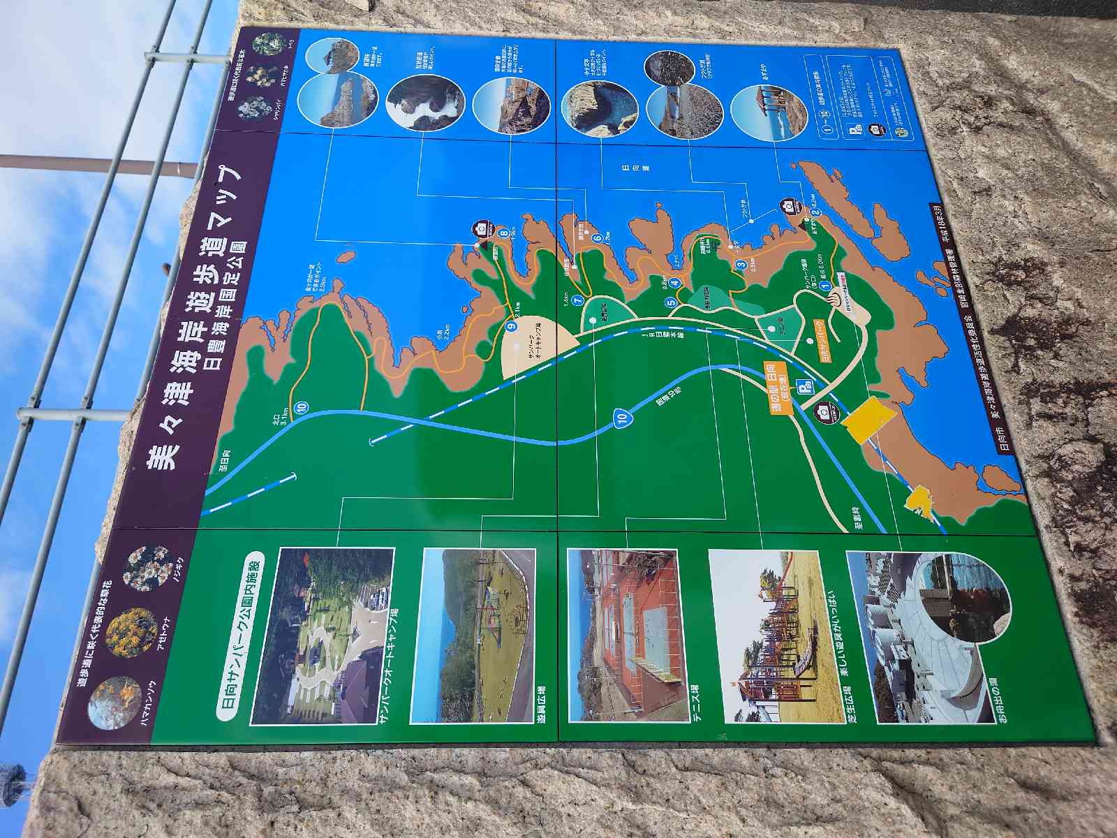 投稿された画像
