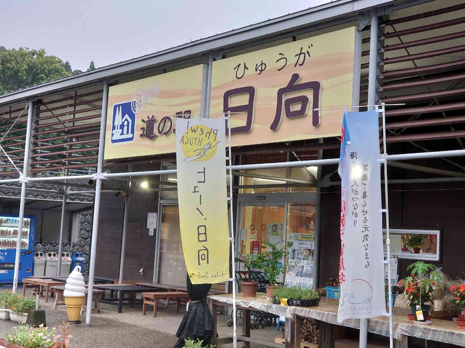 投稿された画像