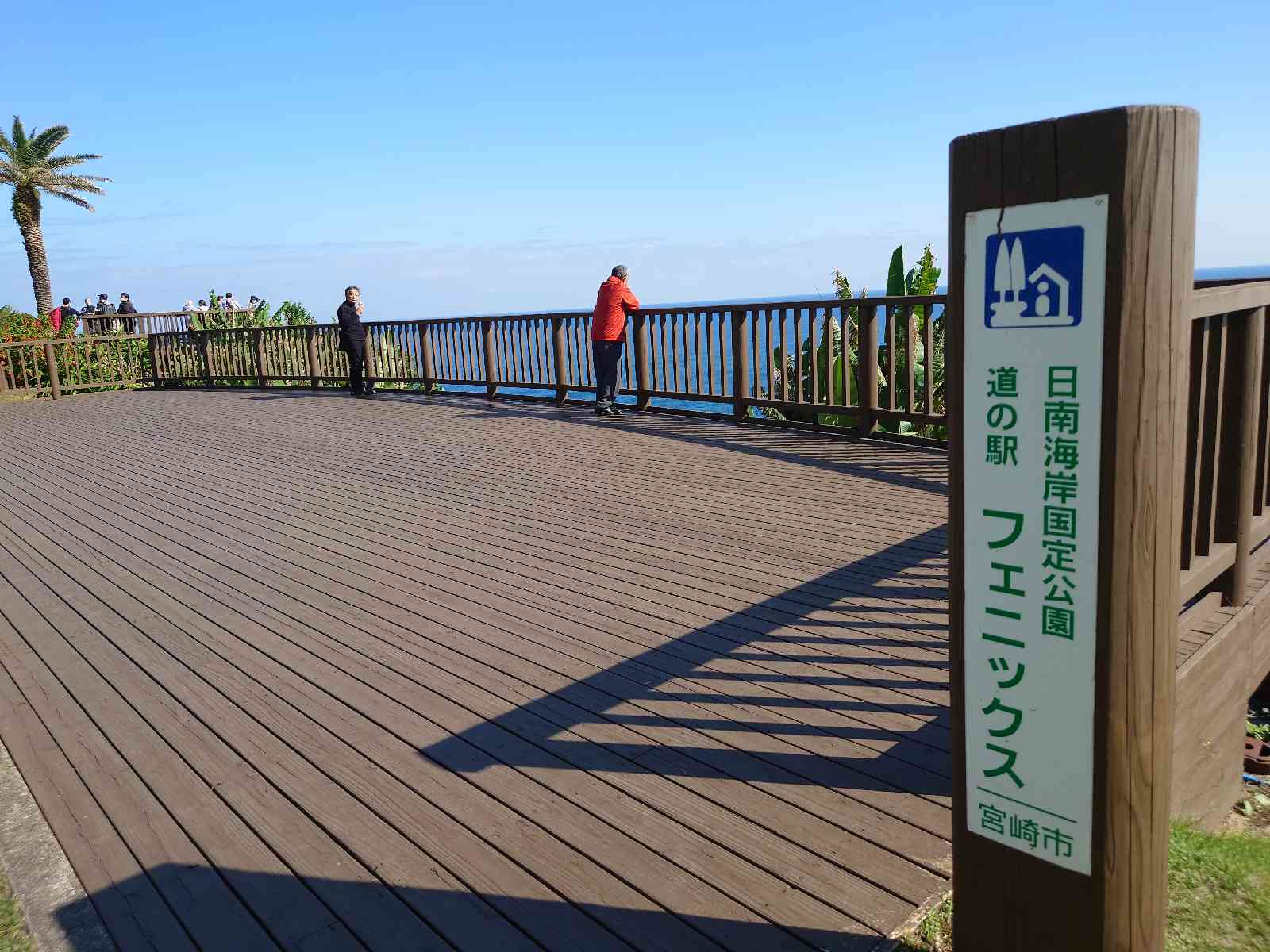 投稿された画像