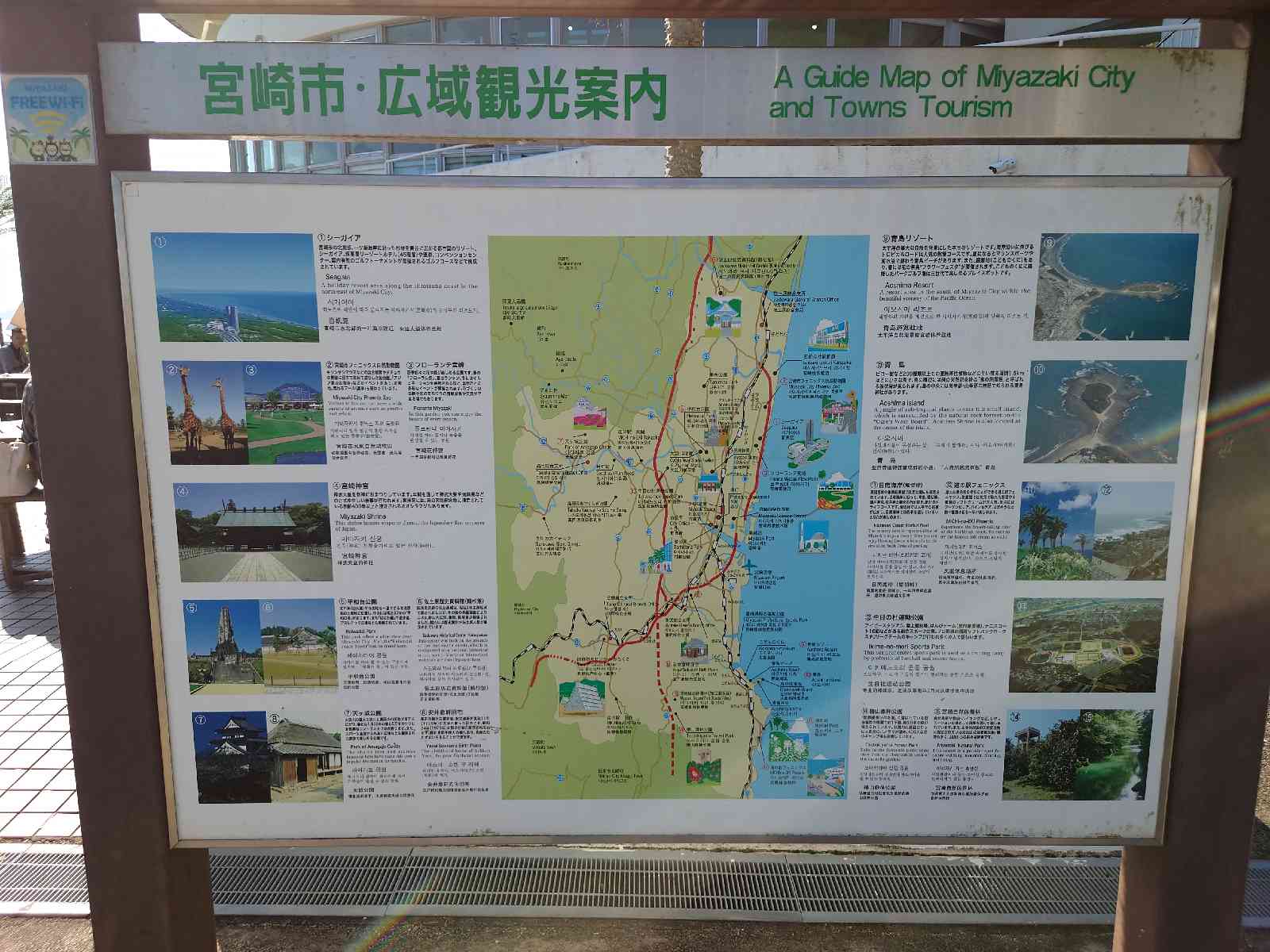 投稿された画像
