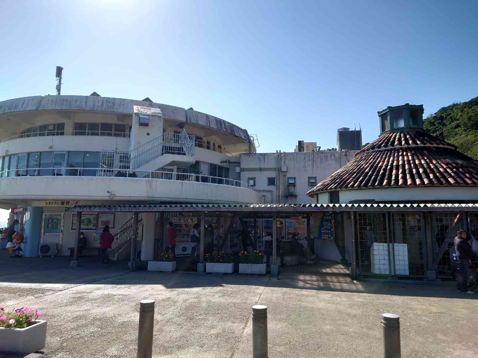 投稿された画像