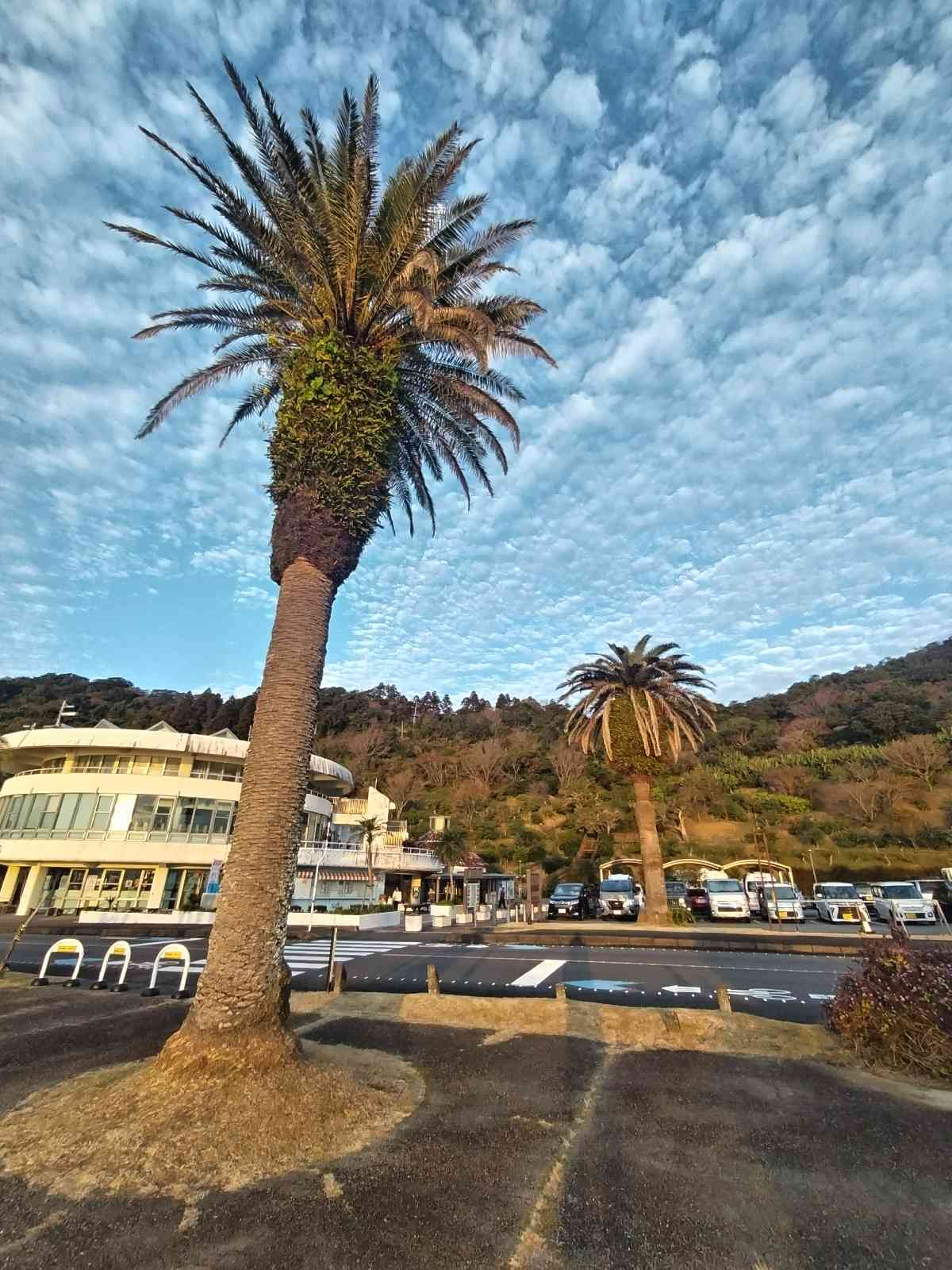 道の駅 フェニックスの写真
