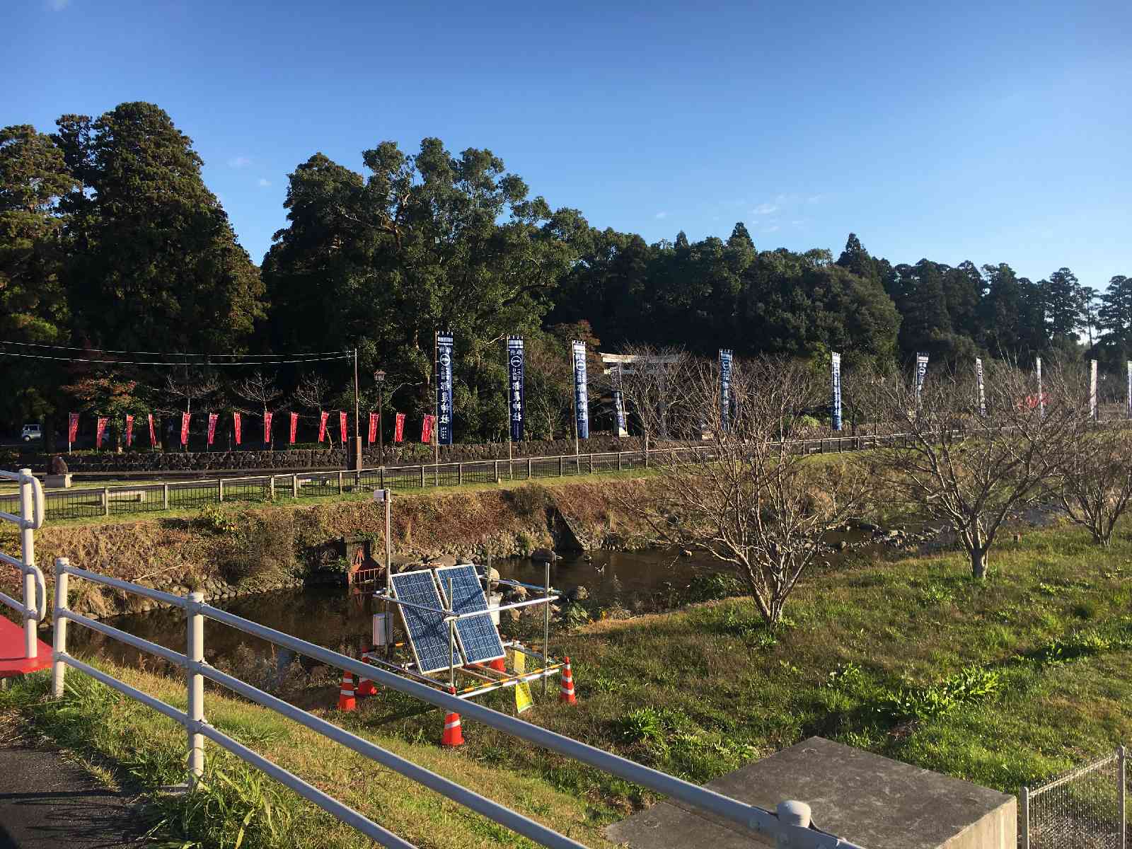 投稿された画像