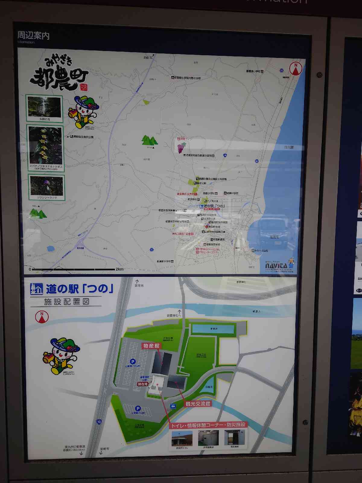 投稿された画像