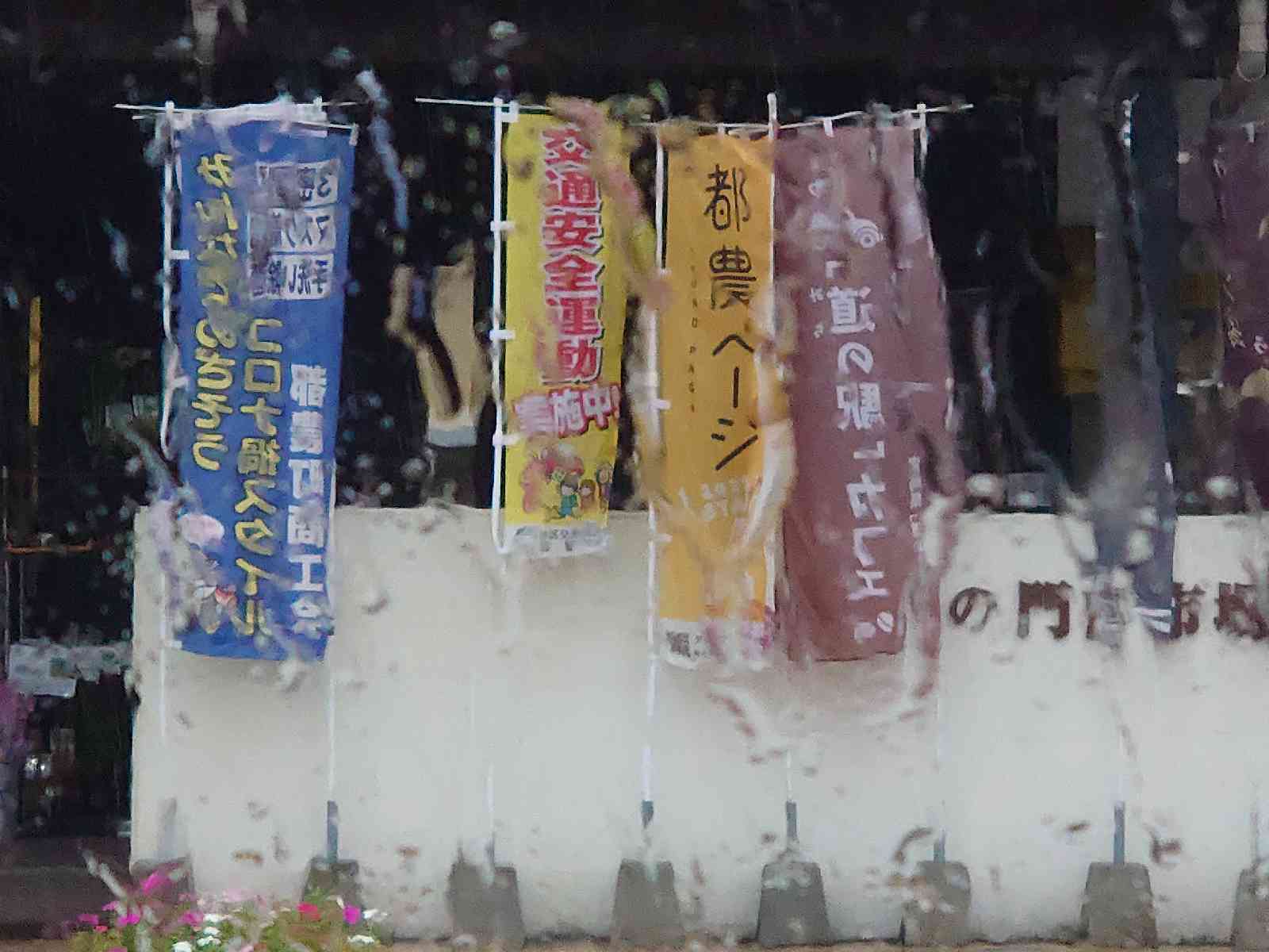 投稿された画像