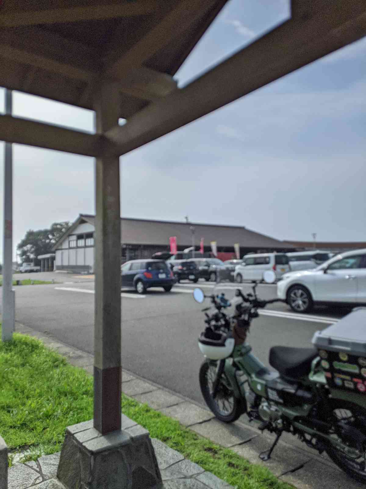 投稿された画像