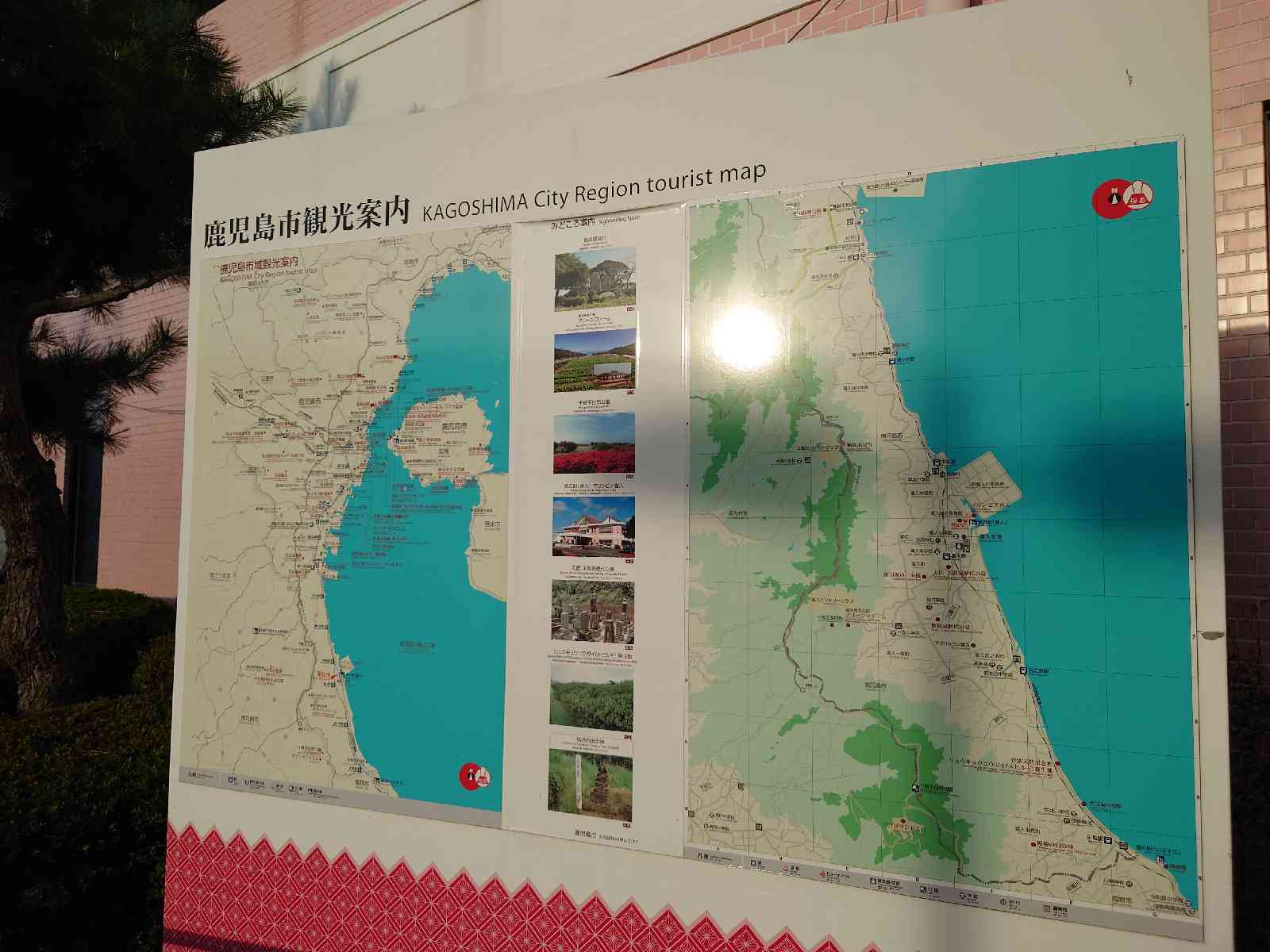 投稿された画像