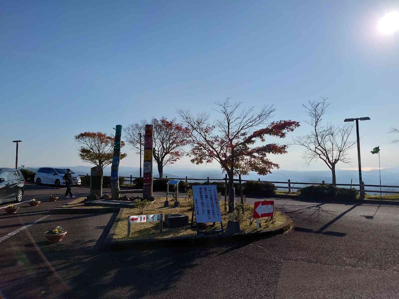 投稿された画像
