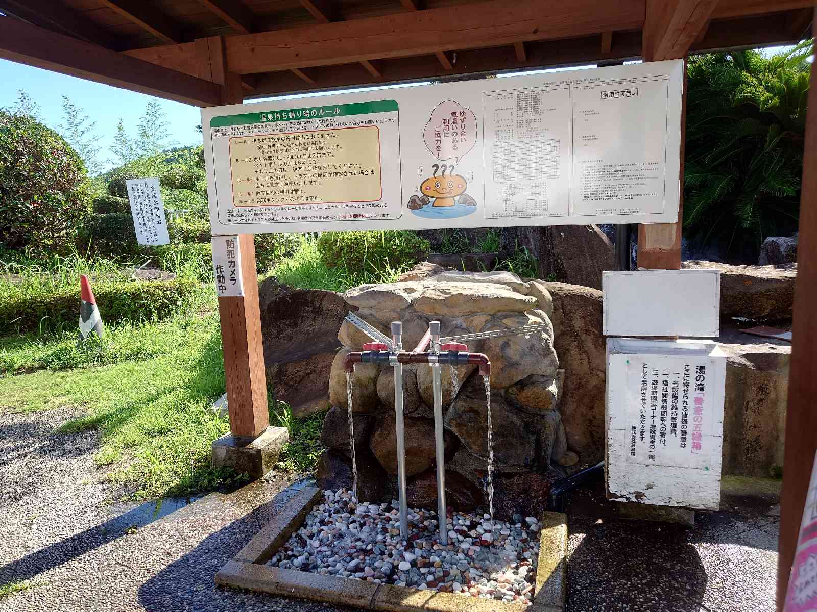 投稿された画像