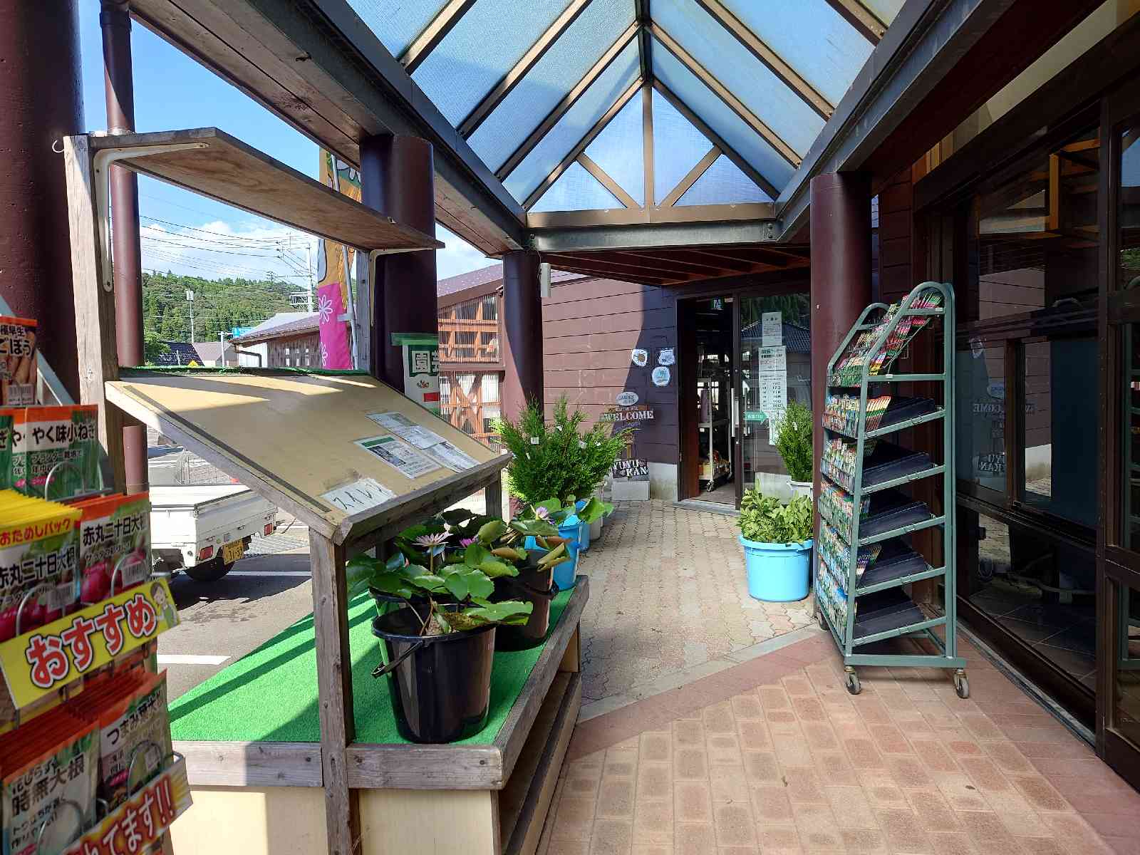 投稿された画像