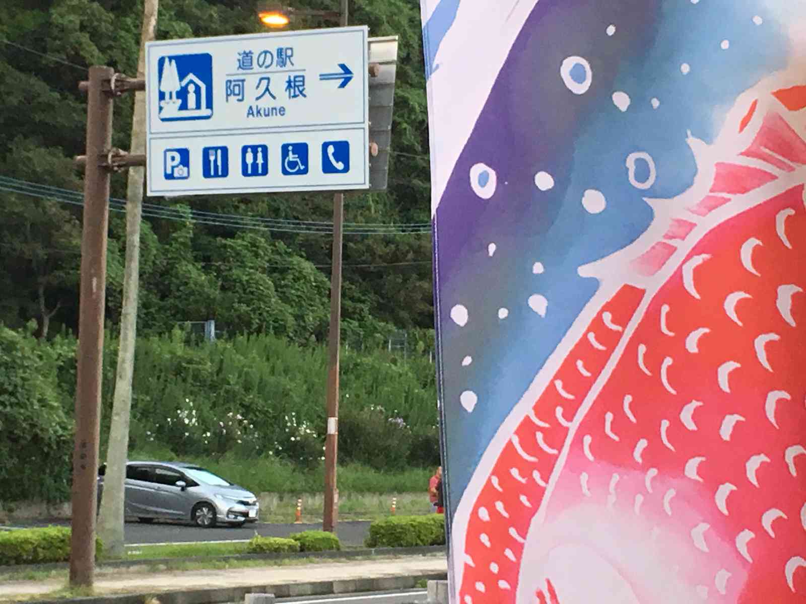 投稿された画像