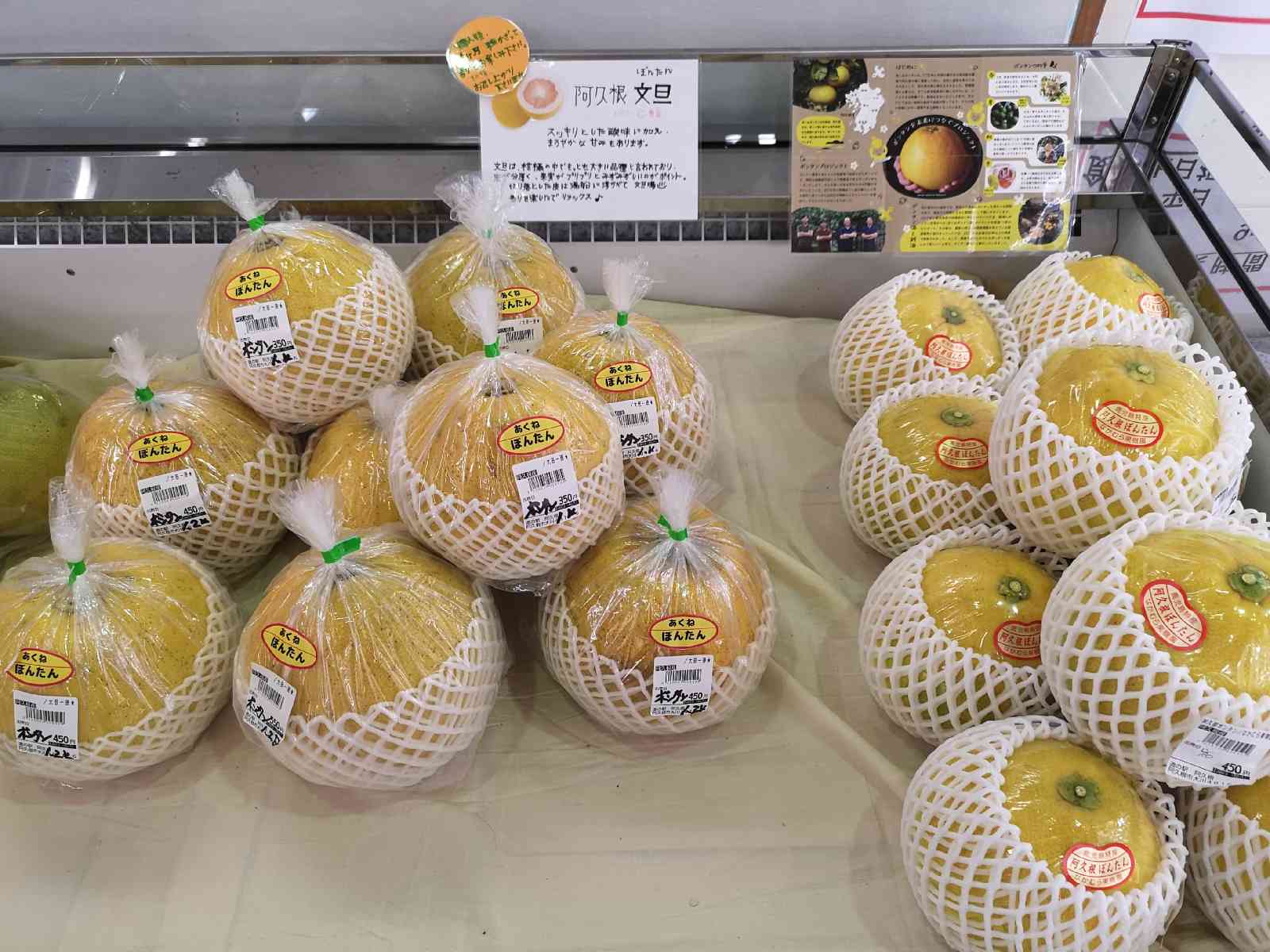 道の駅 阿久根の写真