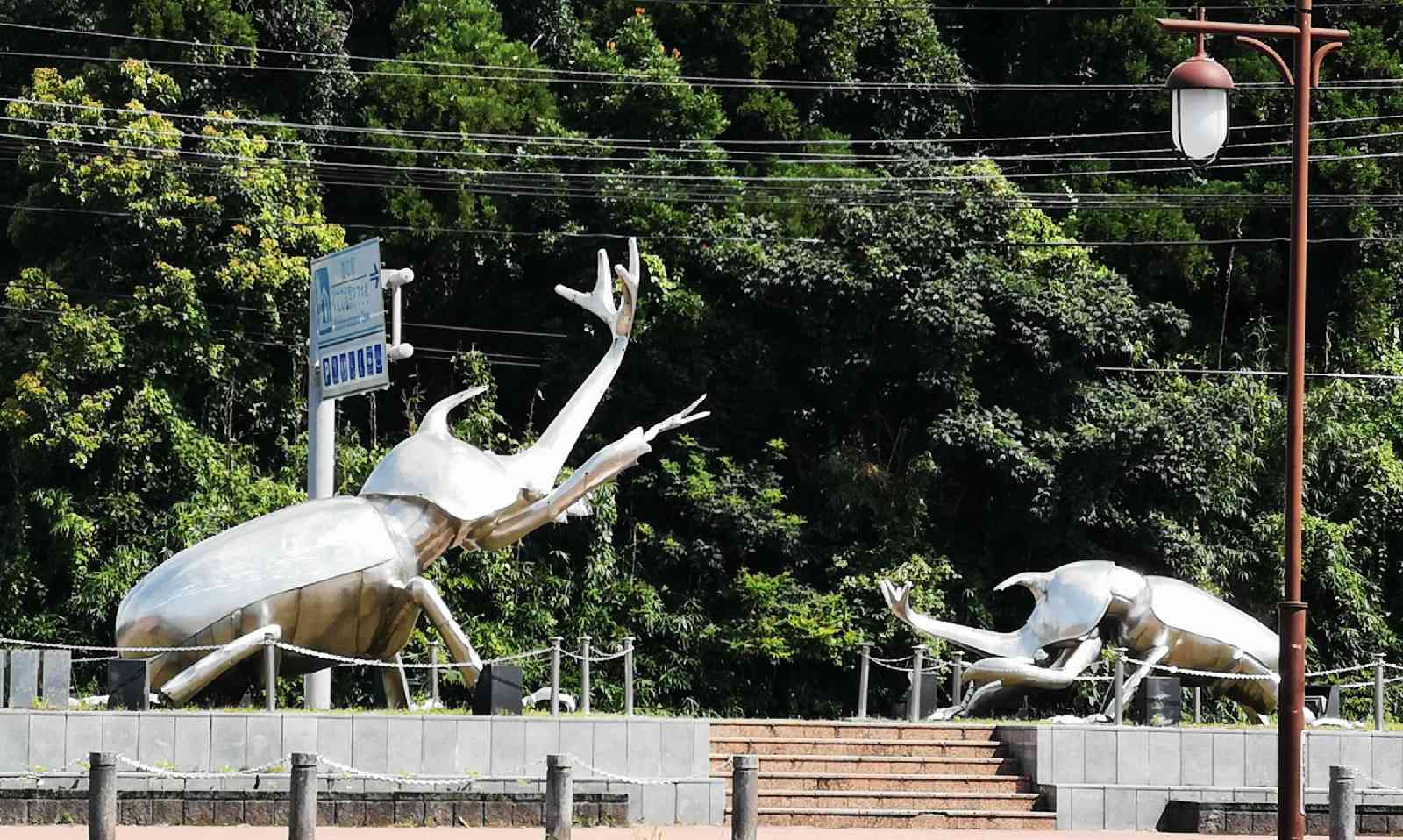 投稿された画像