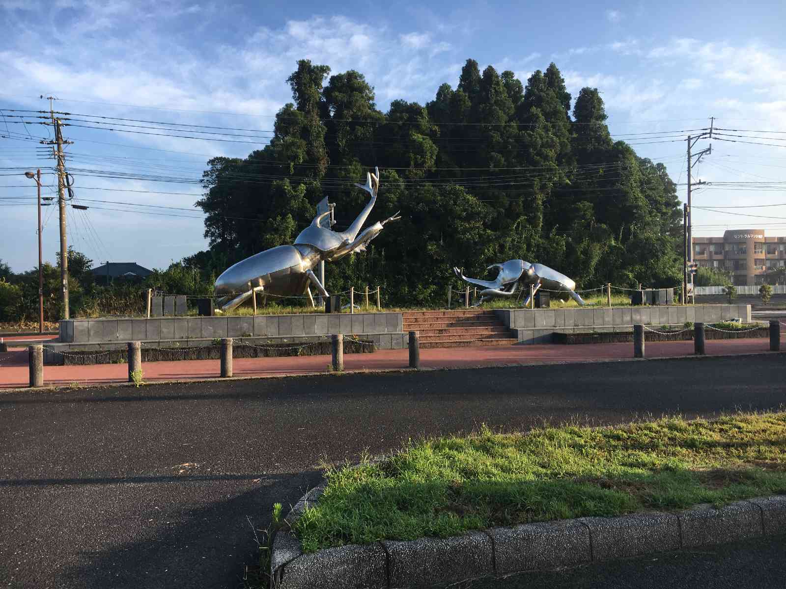 投稿された画像