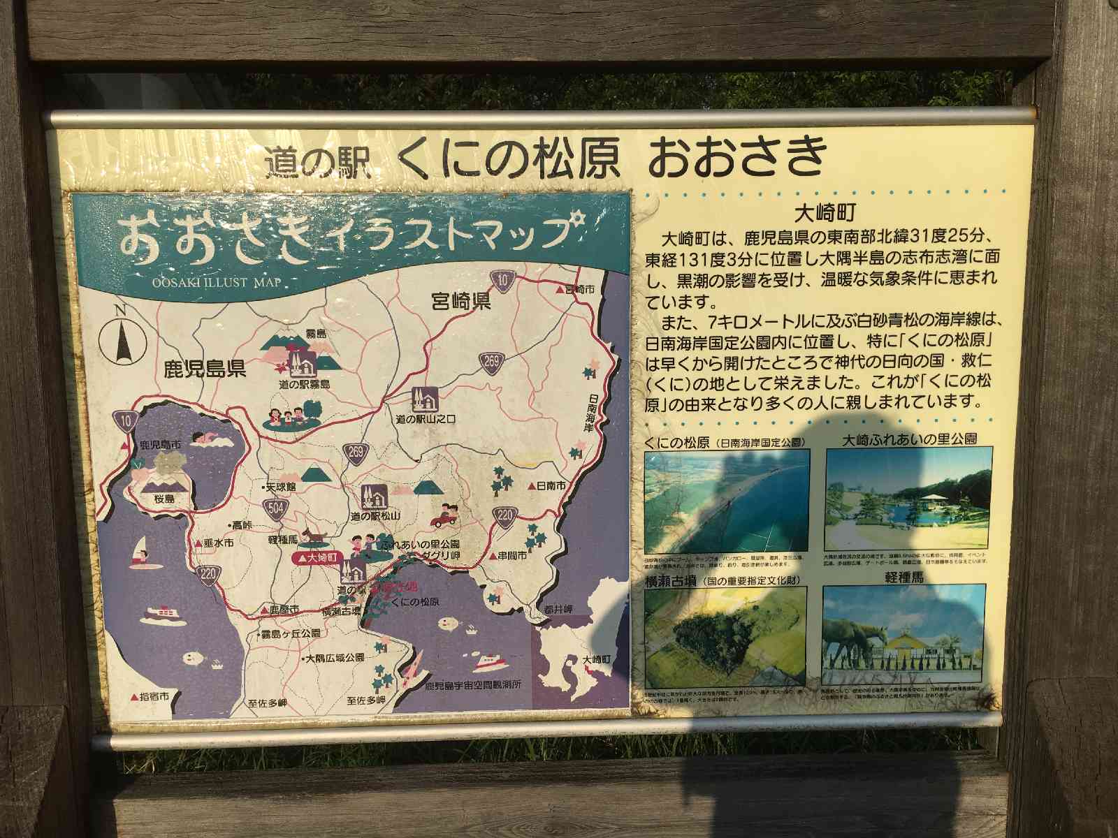 投稿された画像