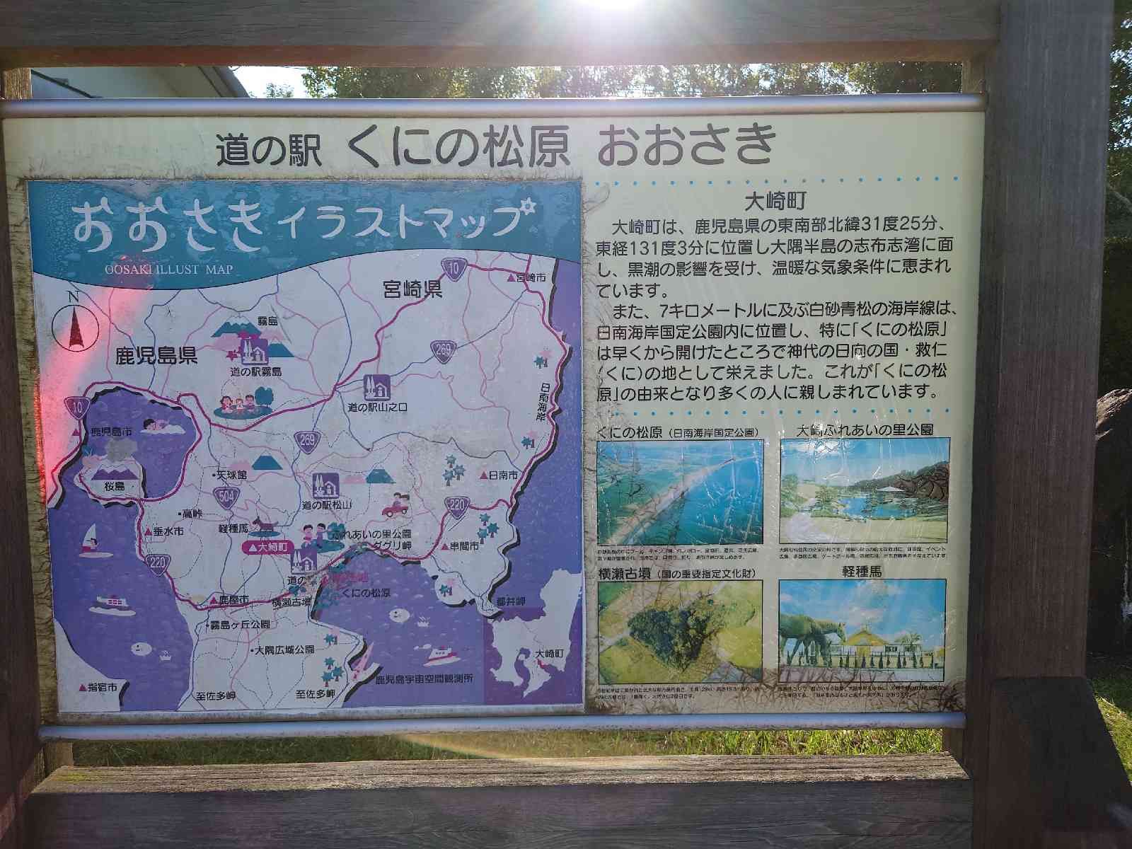 投稿された画像