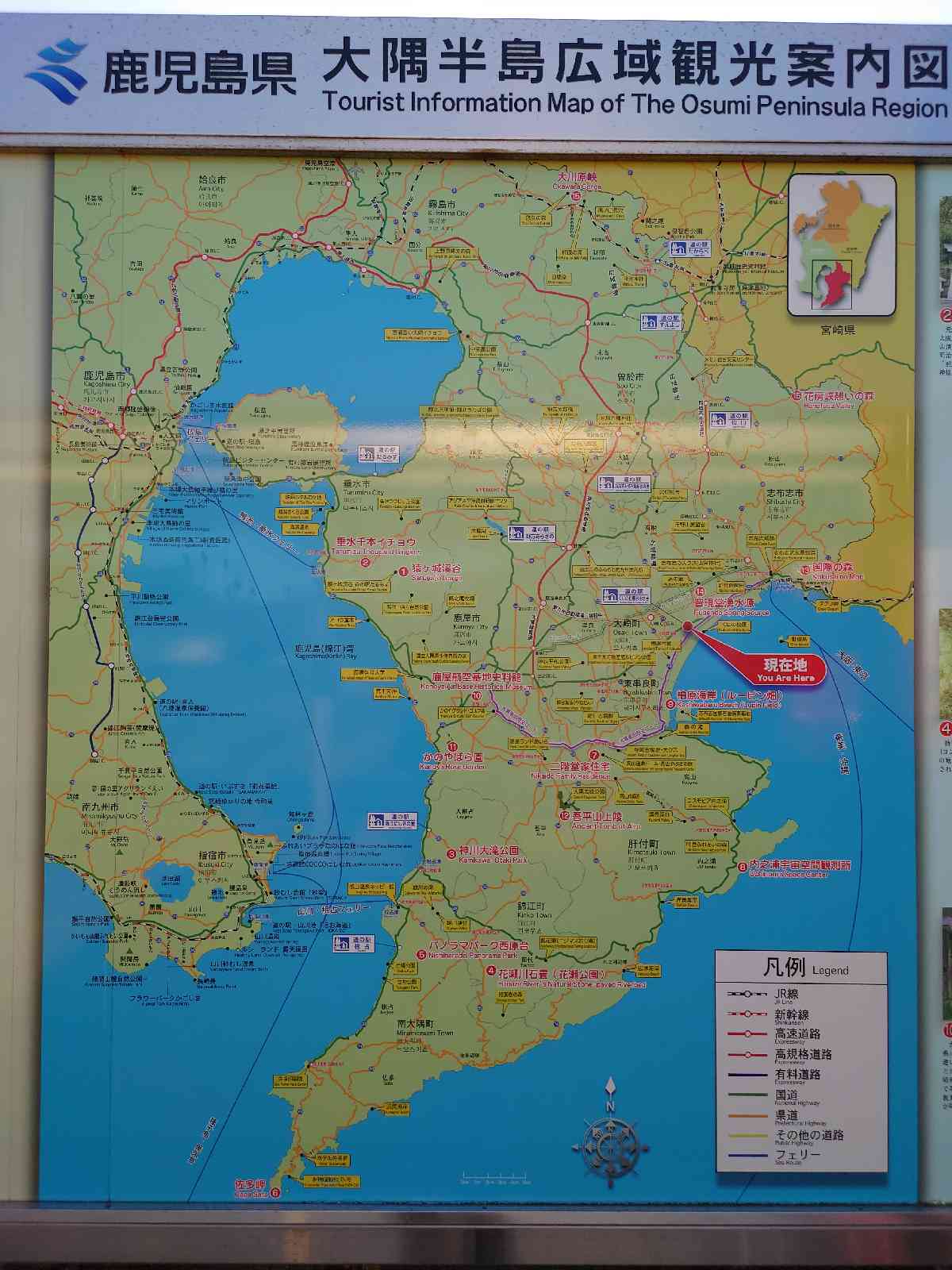 投稿された画像