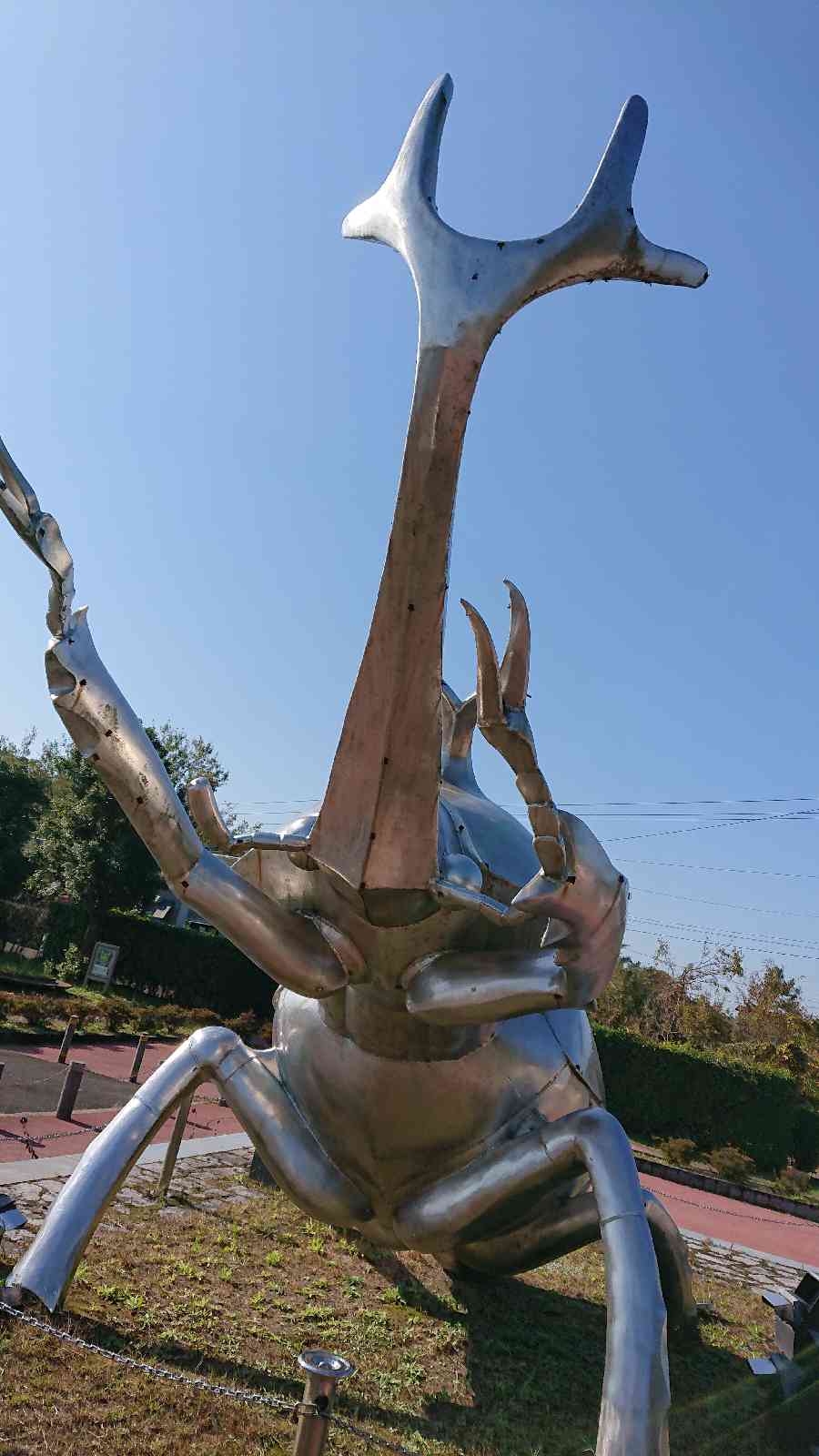 投稿された画像