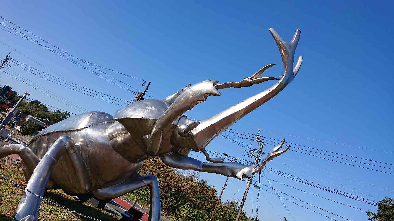 投稿された画像