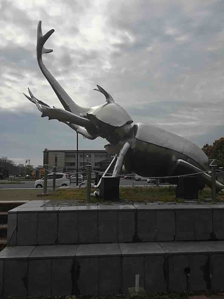 投稿された画像