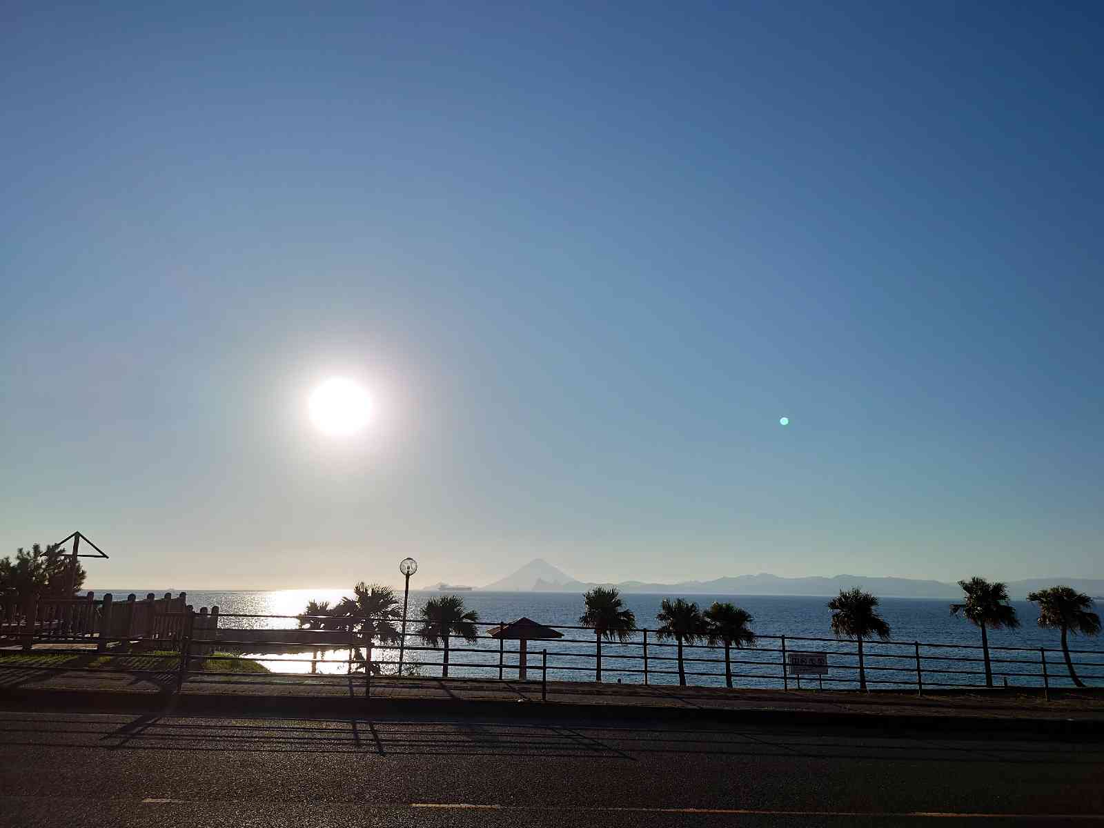 投稿された画像