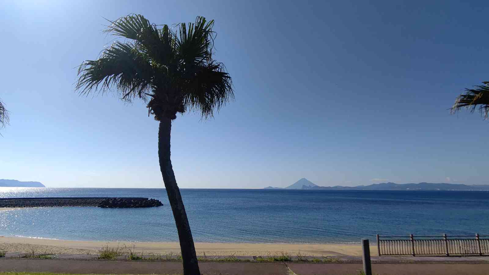 投稿された画像