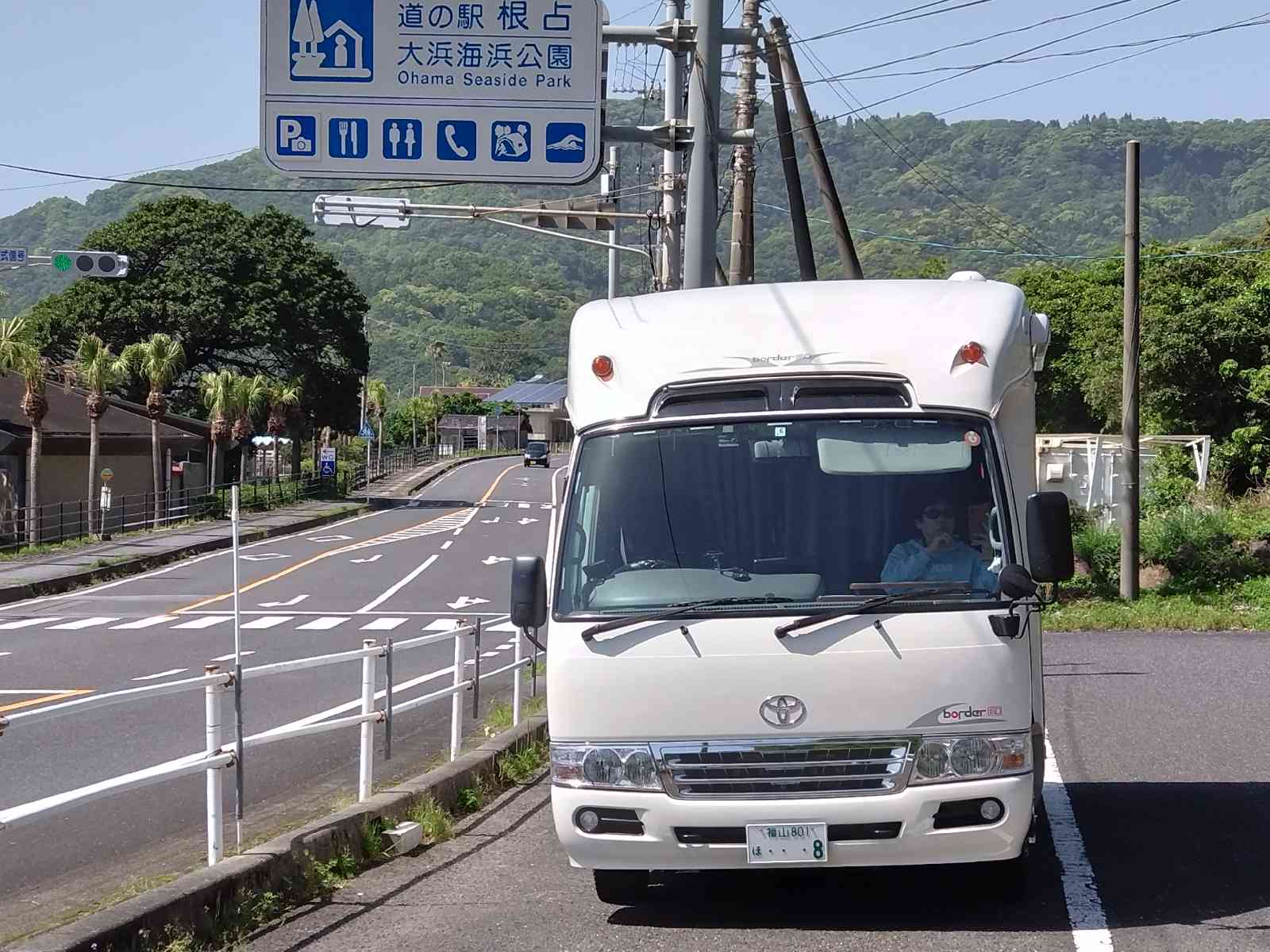 投稿された画像