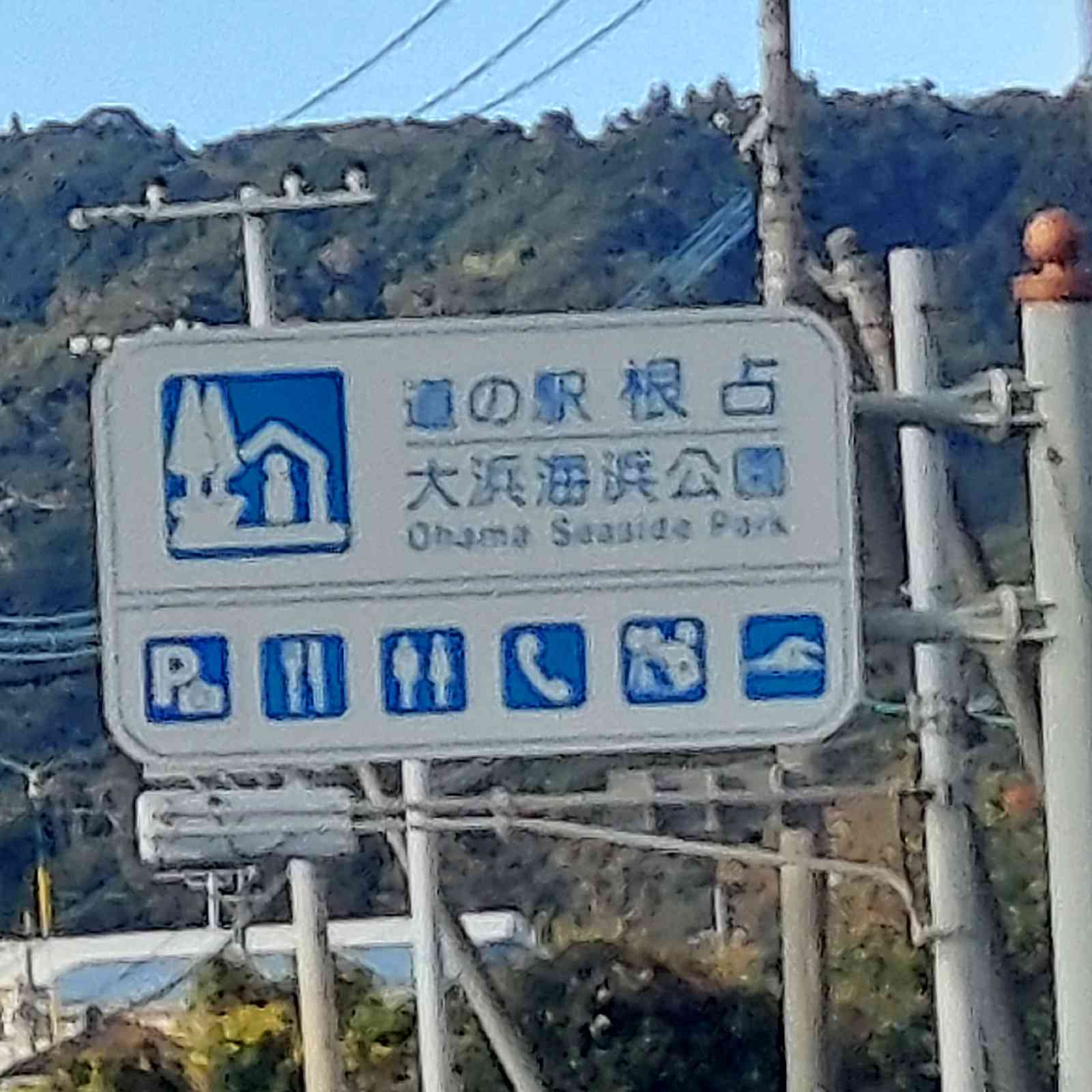道の駅 根占の写真