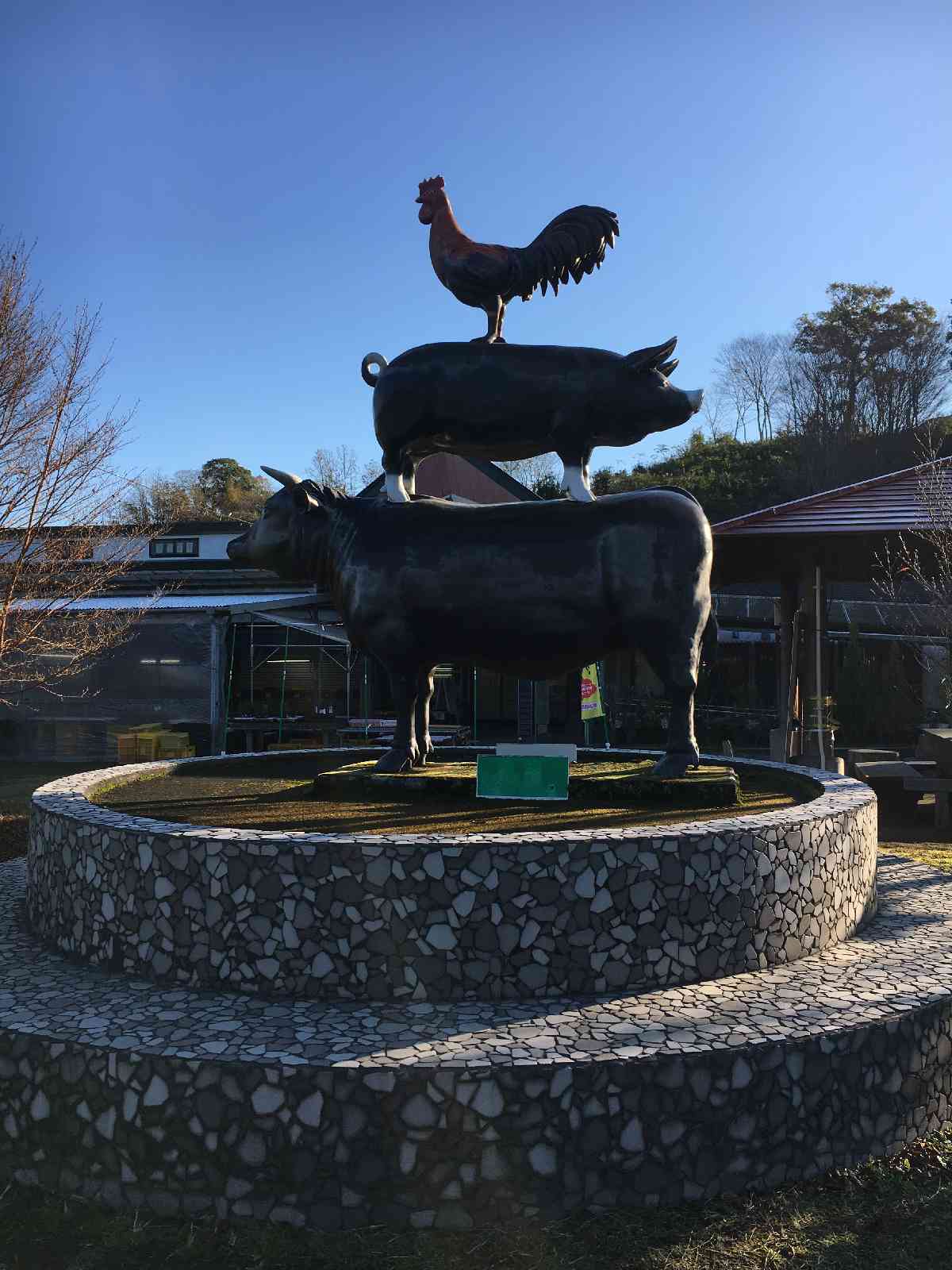 投稿された画像