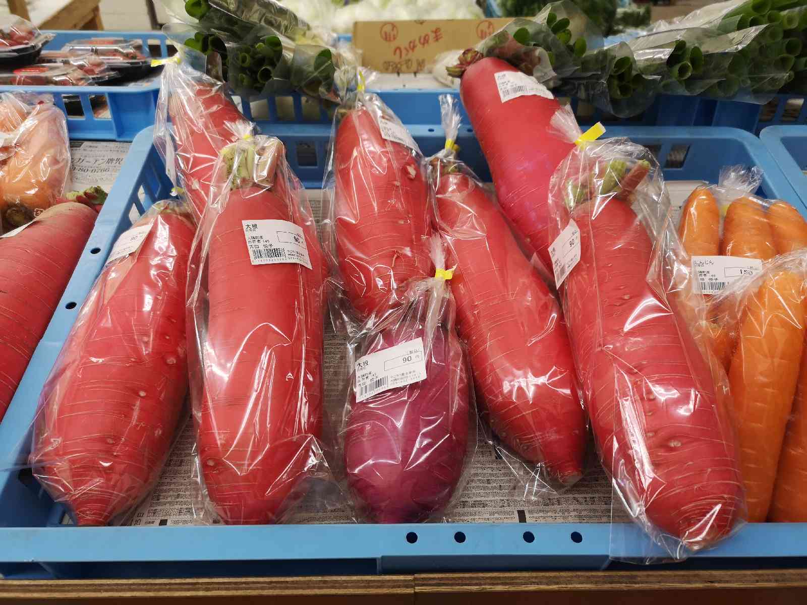 投稿された画像