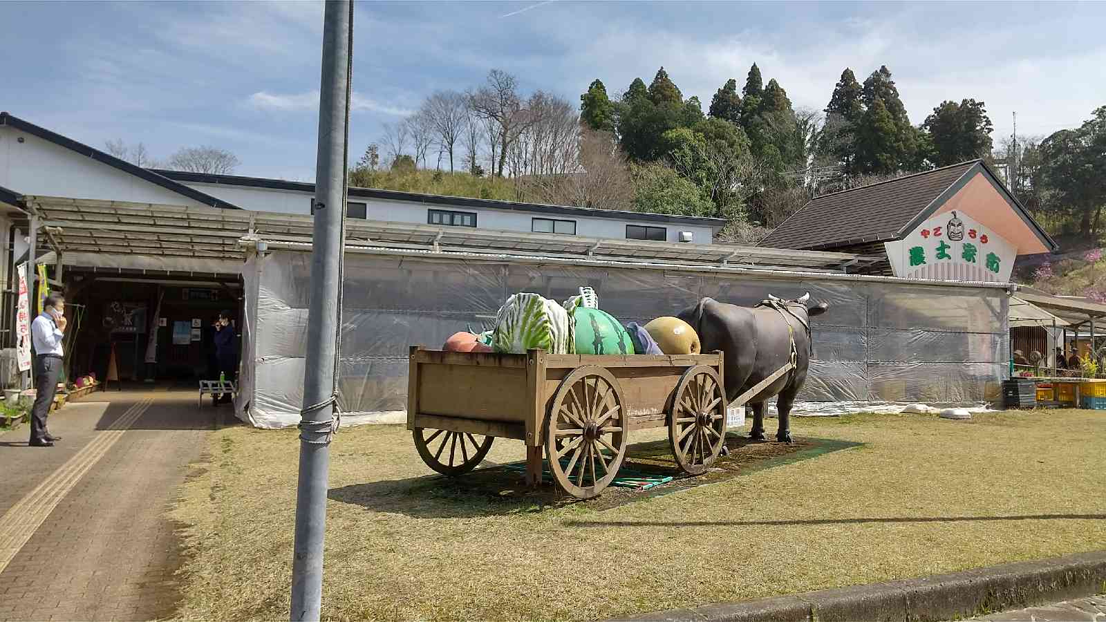 投稿された画像