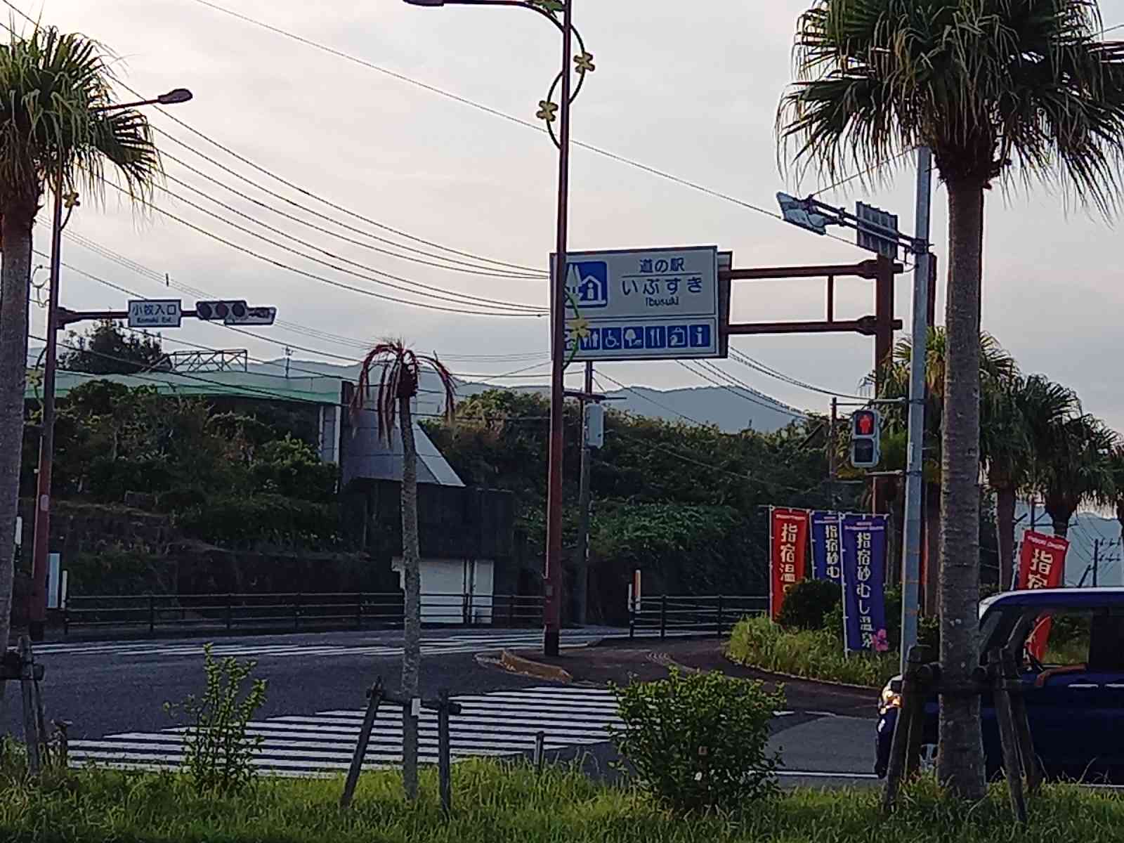 投稿された画像