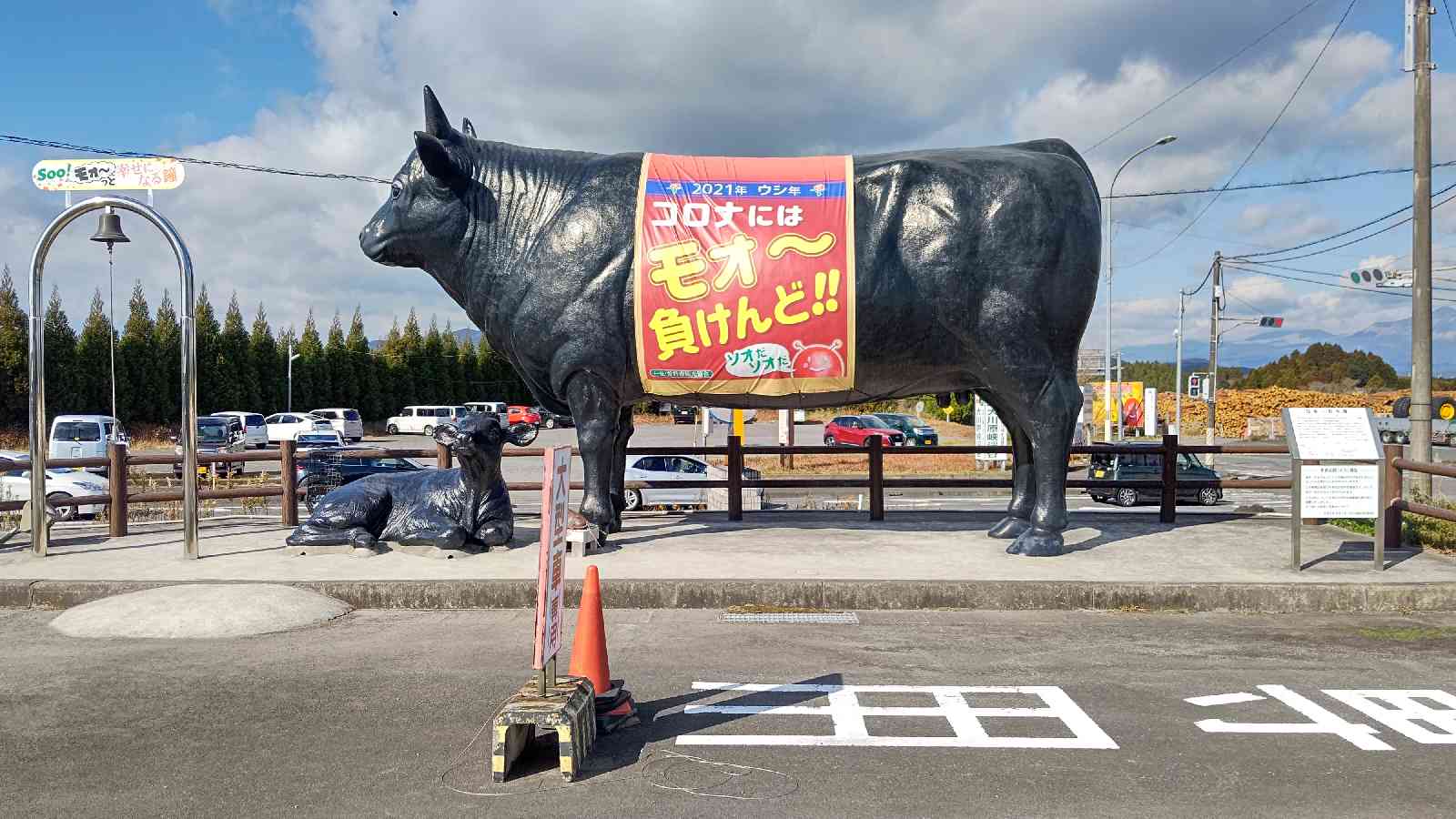 投稿された画像