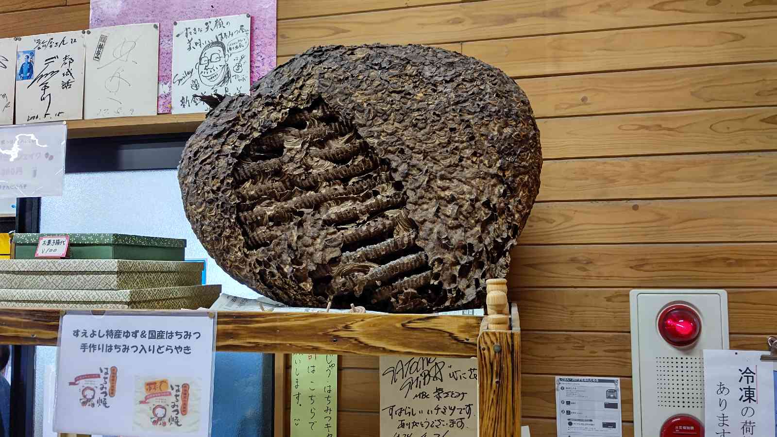 投稿された画像