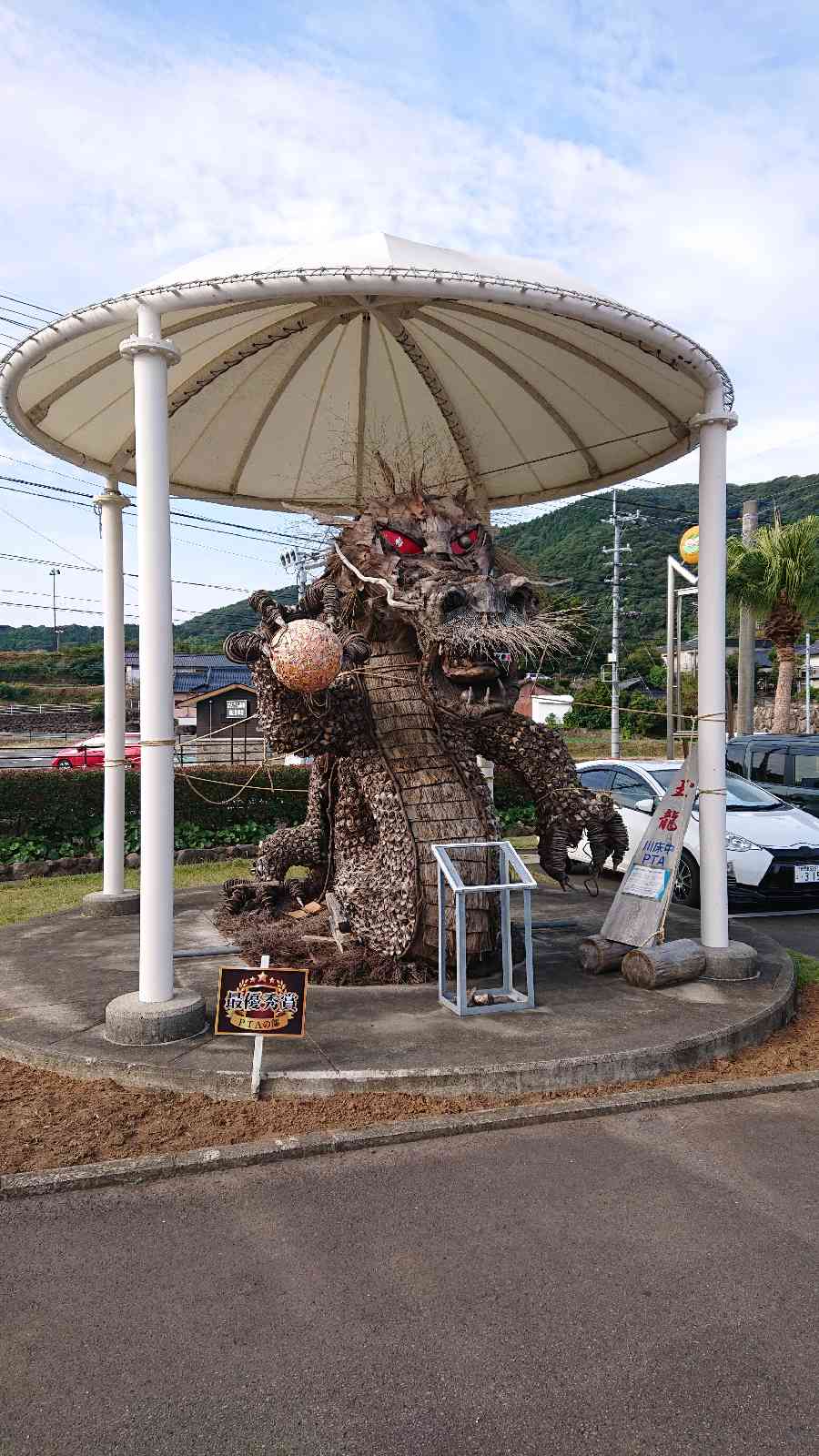 投稿された画像