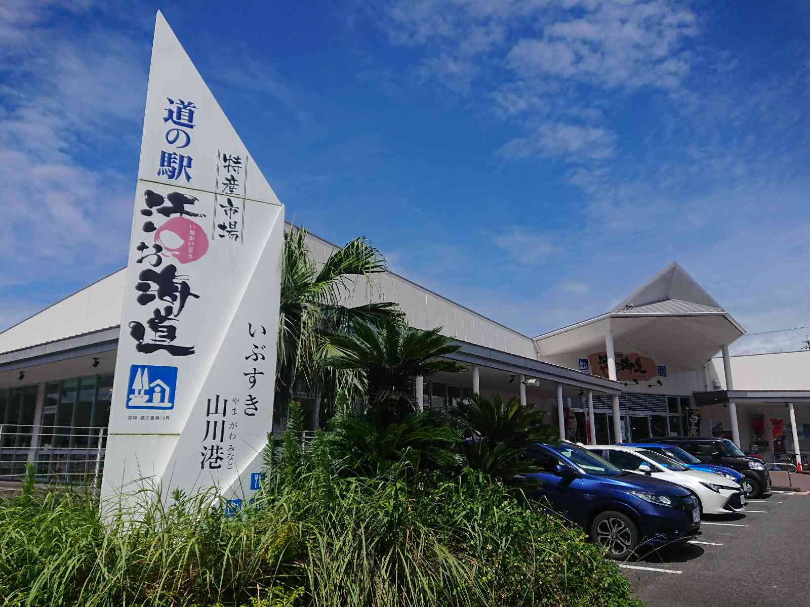 投稿された画像