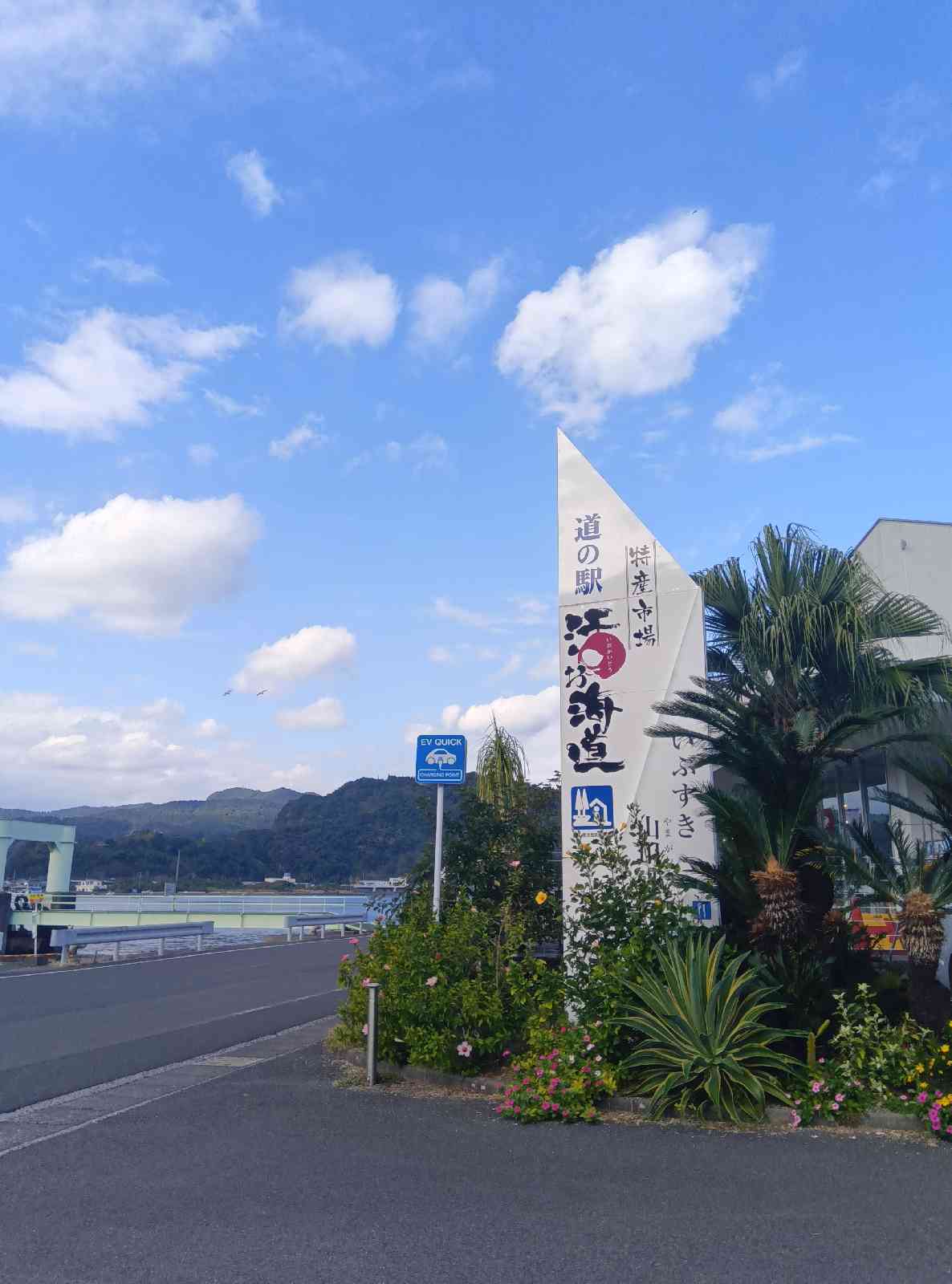 道の駅 山川港活お海道の写真