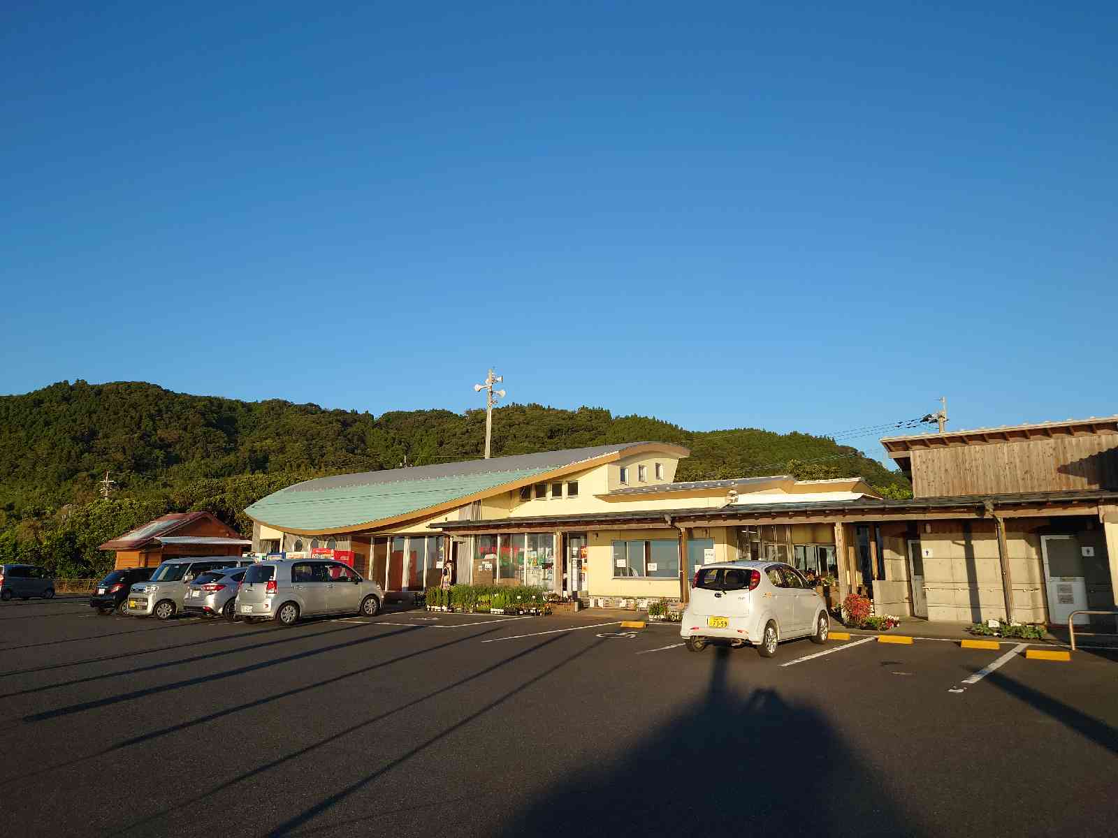 投稿された画像