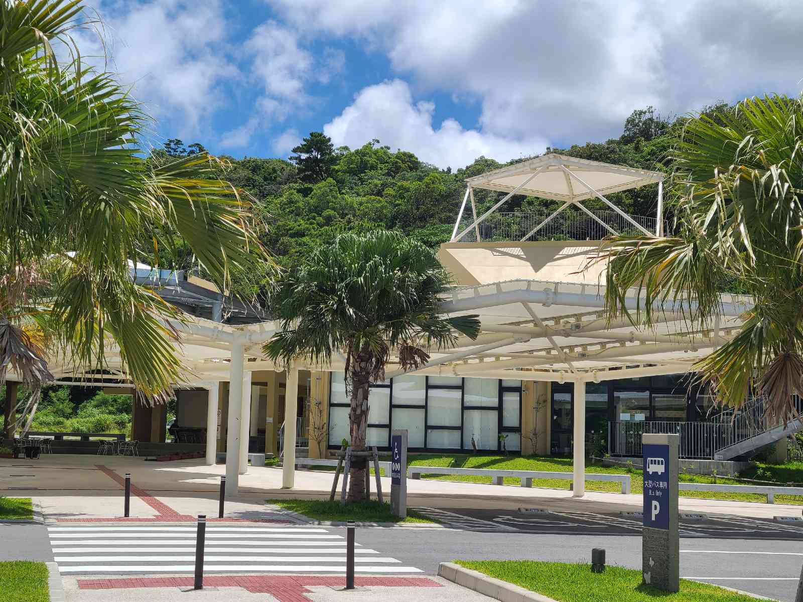 投稿された画像