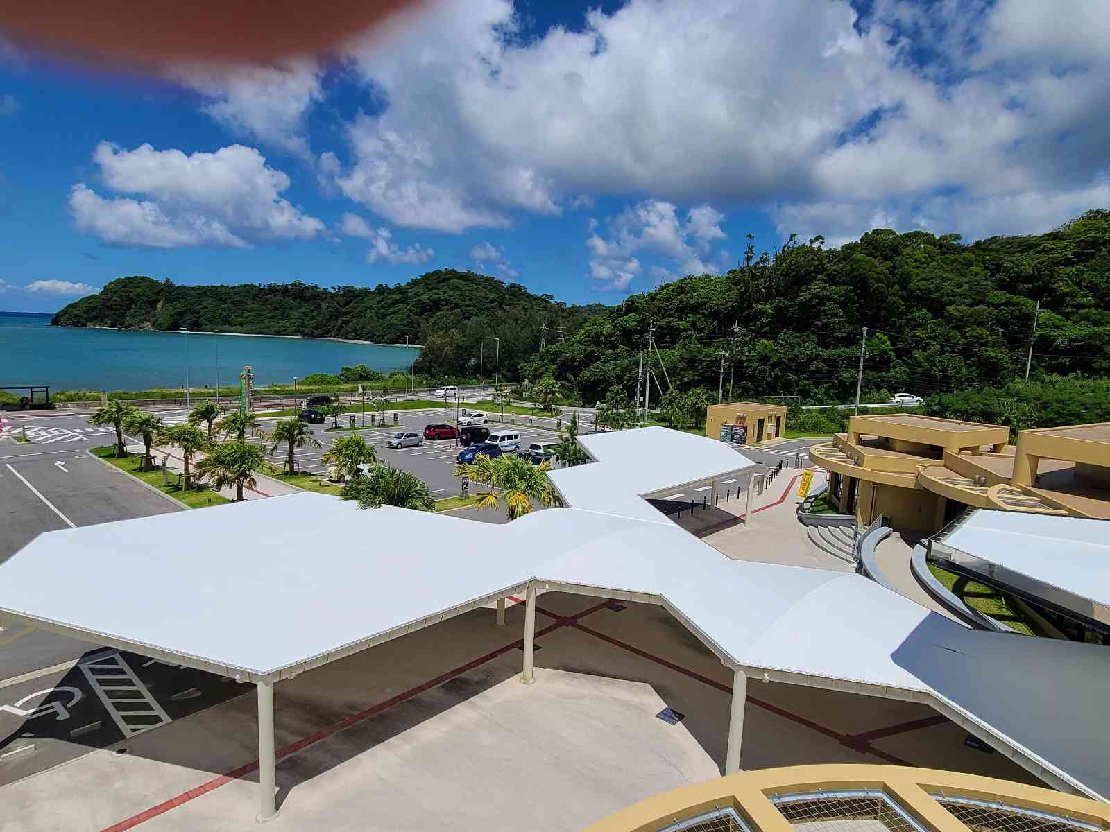 投稿された画像