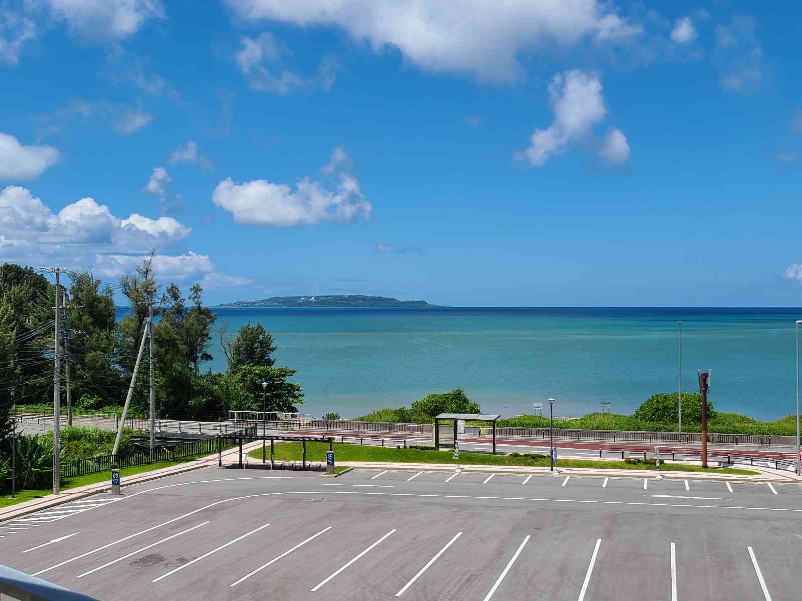 投稿された画像