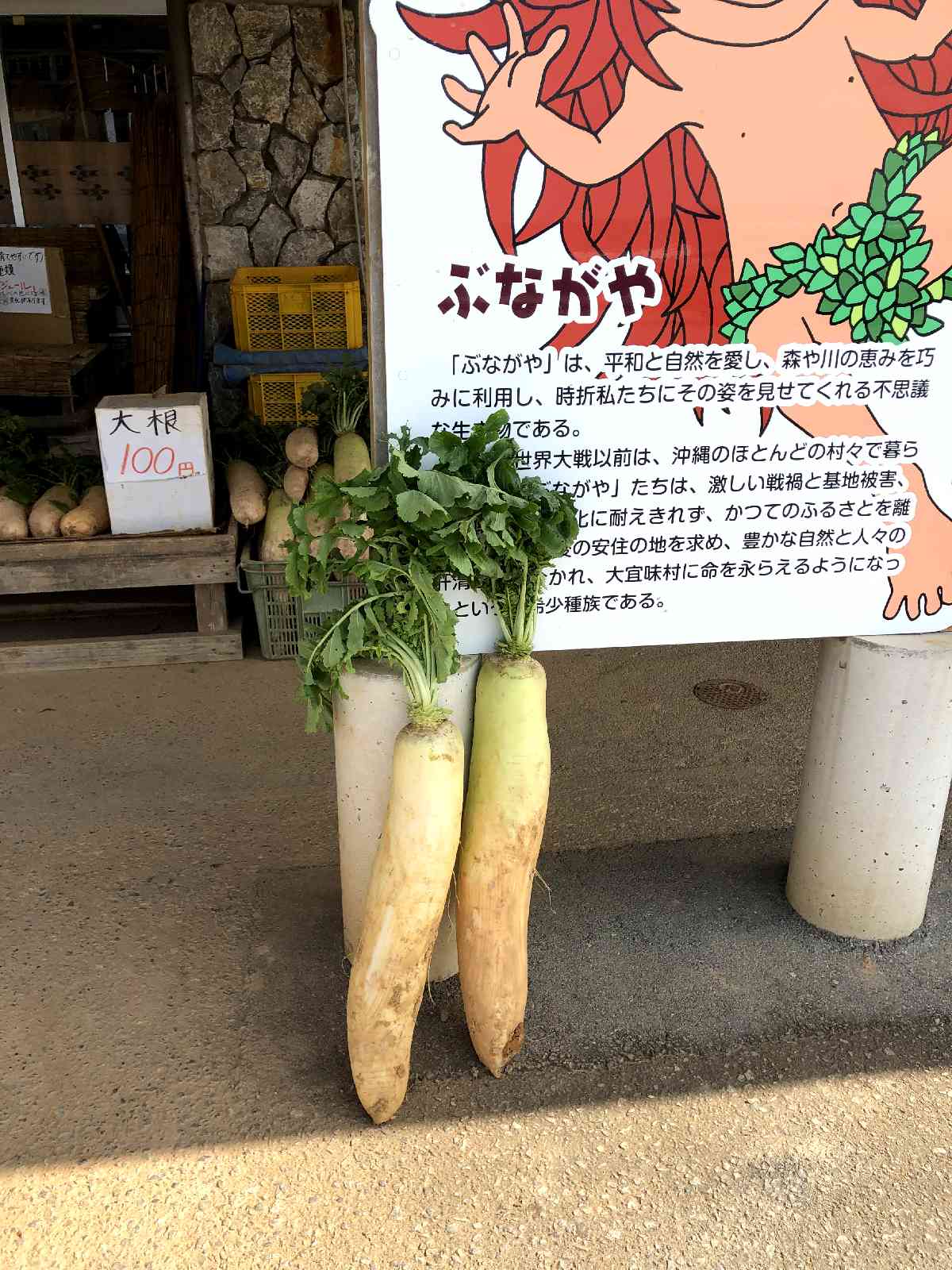 投稿された画像