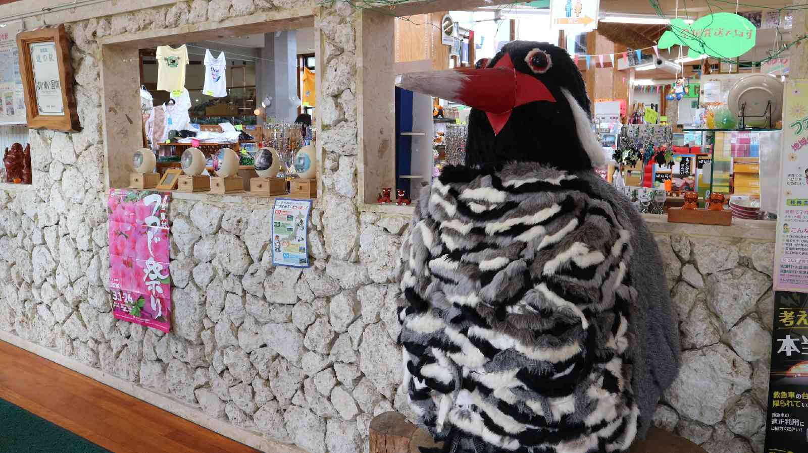 投稿された画像