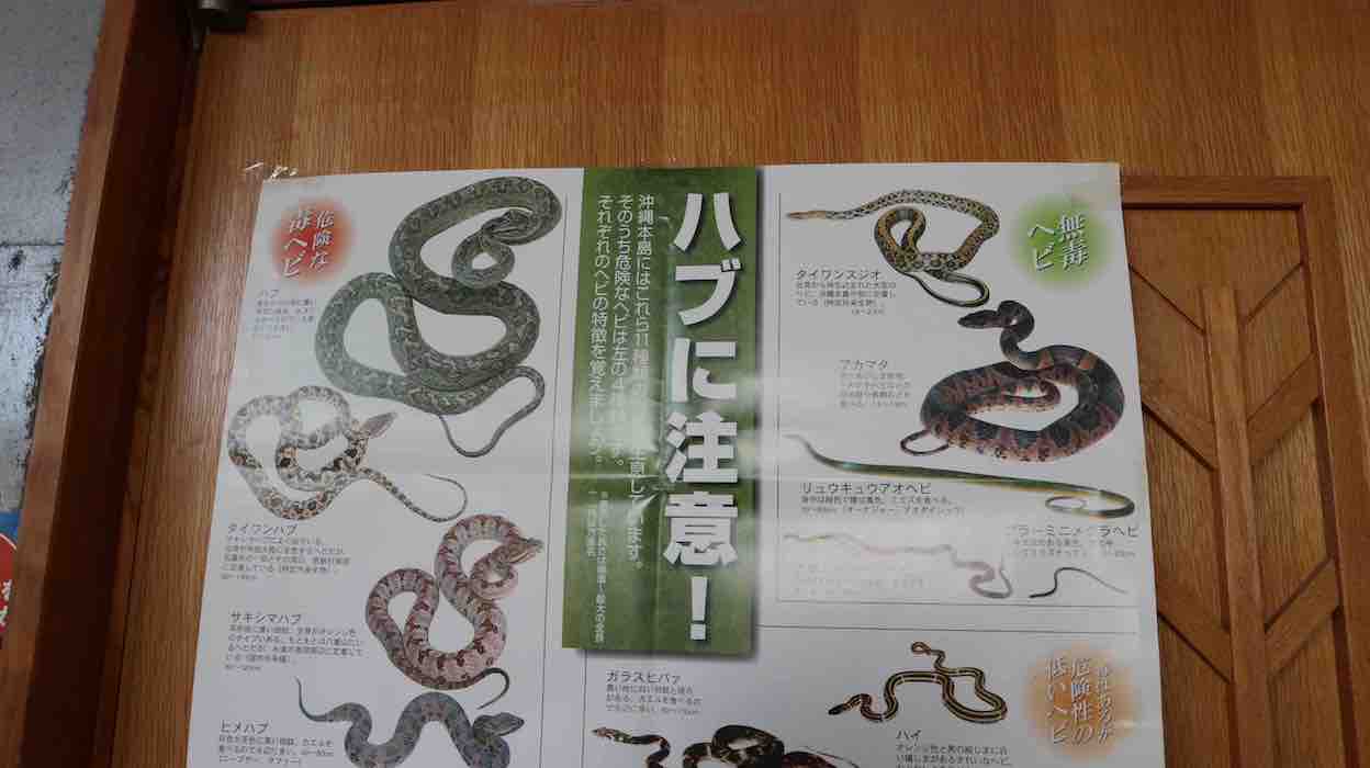 投稿された画像